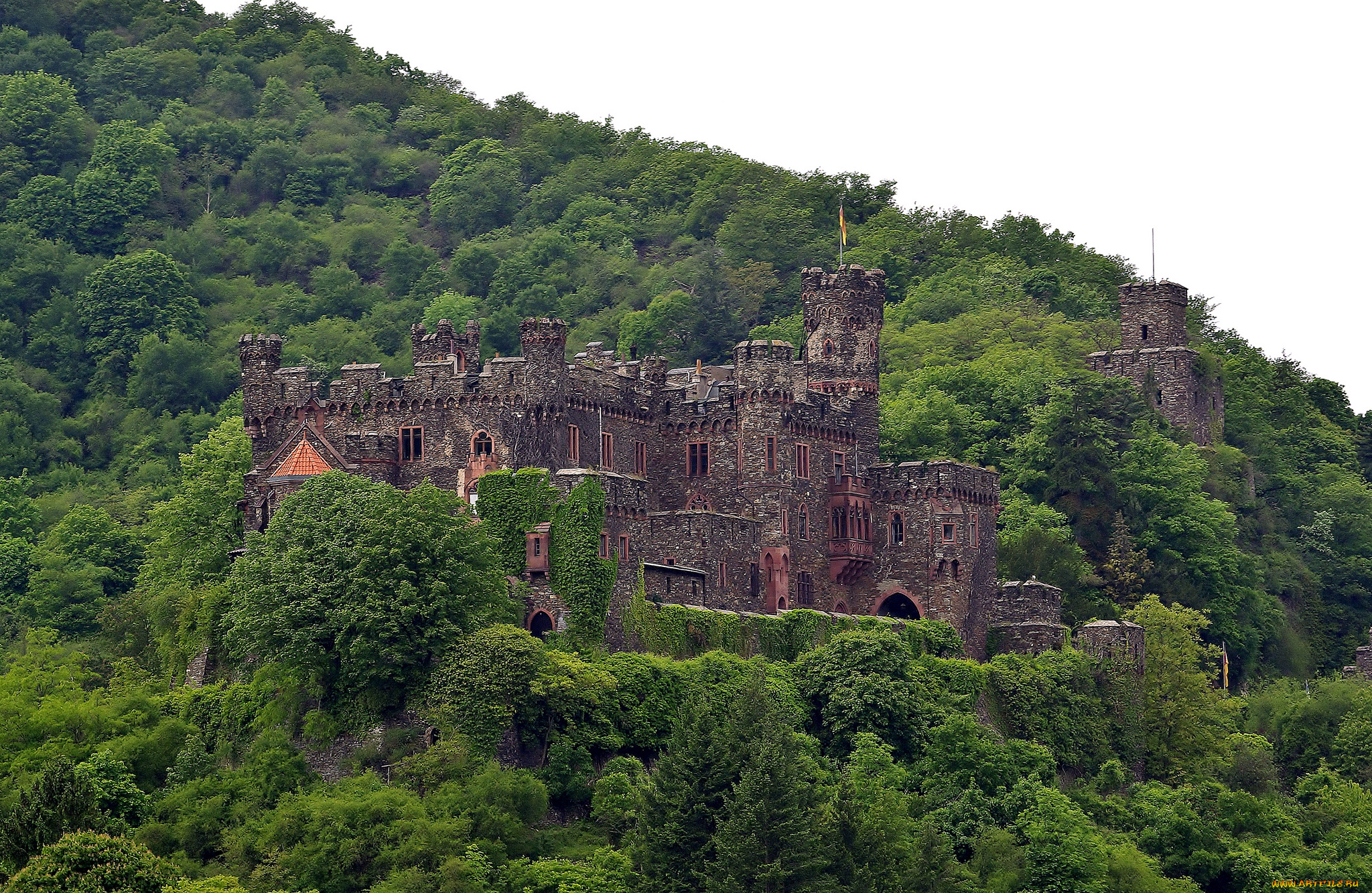 reichenstein, castle, , germany, города, -, дворцы, , замки, , крепости, замок, лес, склон, башни, стены