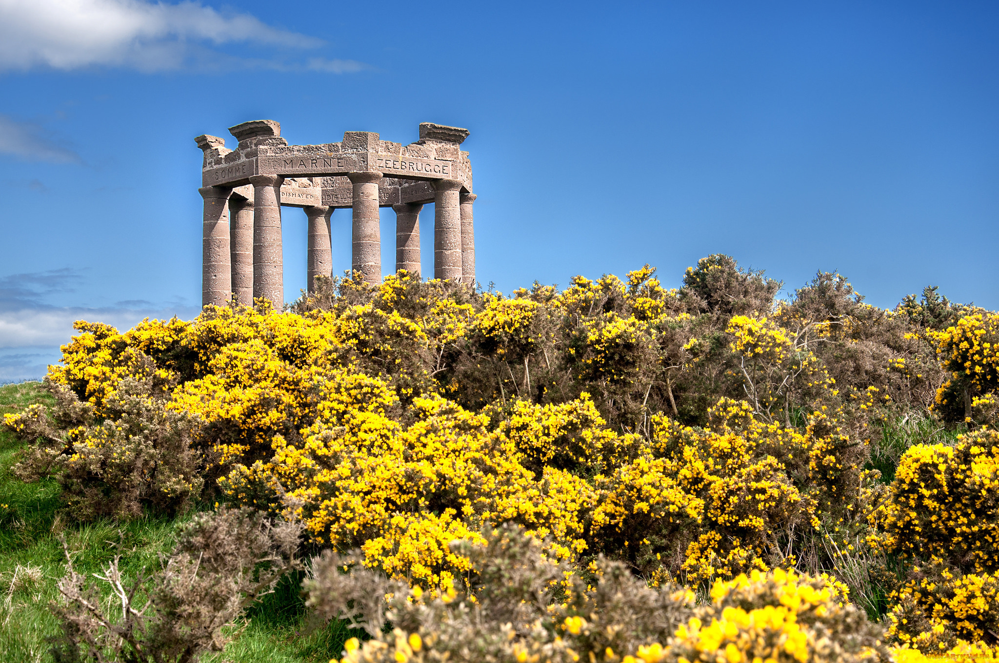 stonehaven, war, memorial, , scotland, города, -, памятники, , скульптуры, , арт-объекты, луг, цветы, мемориал