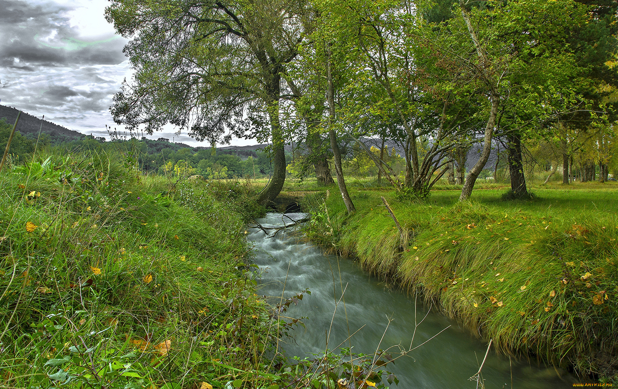 природа, реки, озера, лес, река