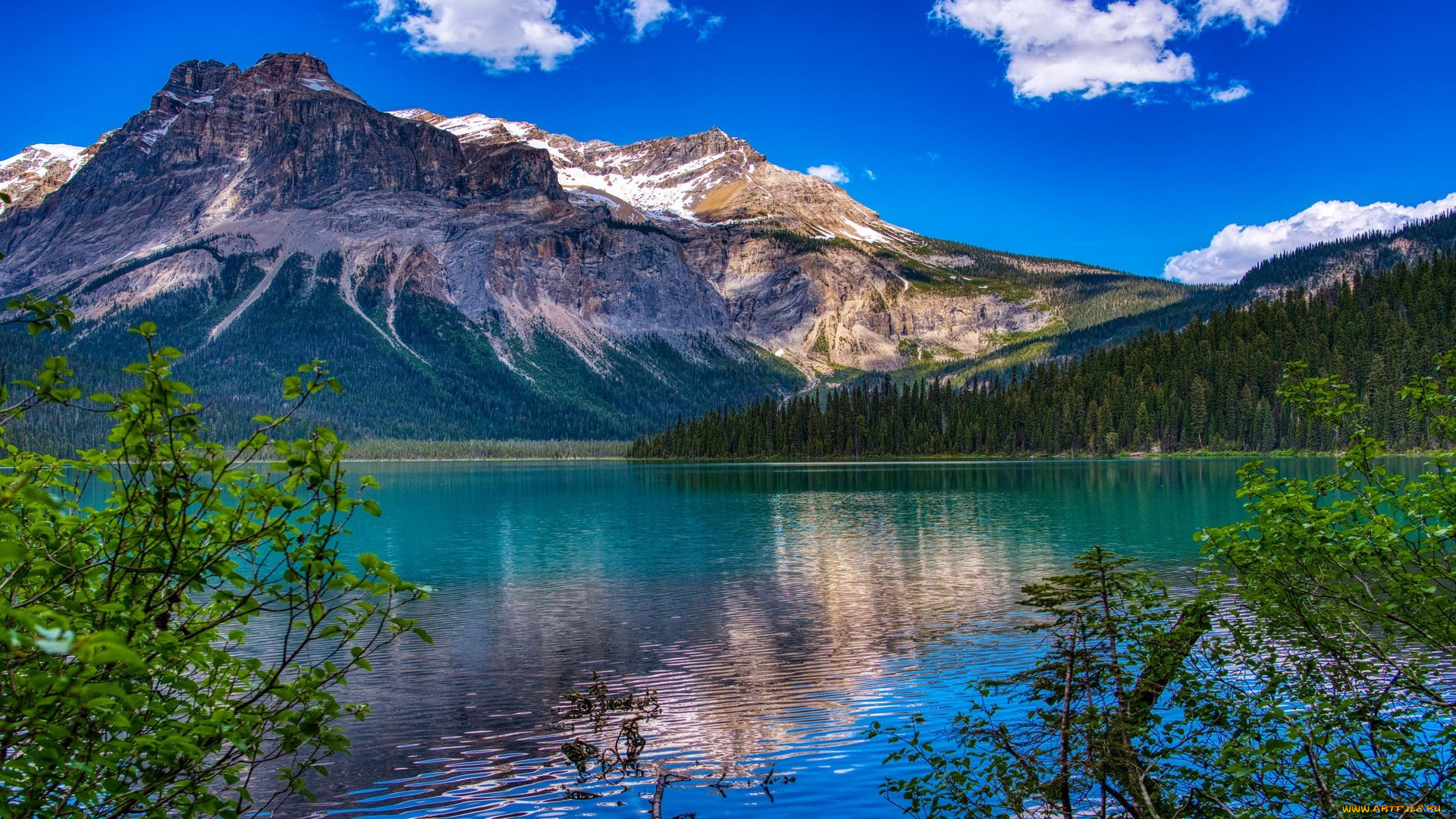 emerald, lake, yoho, np, british, columbia, природа, реки, озера, emerald, lake, yoho, np, british, columbia