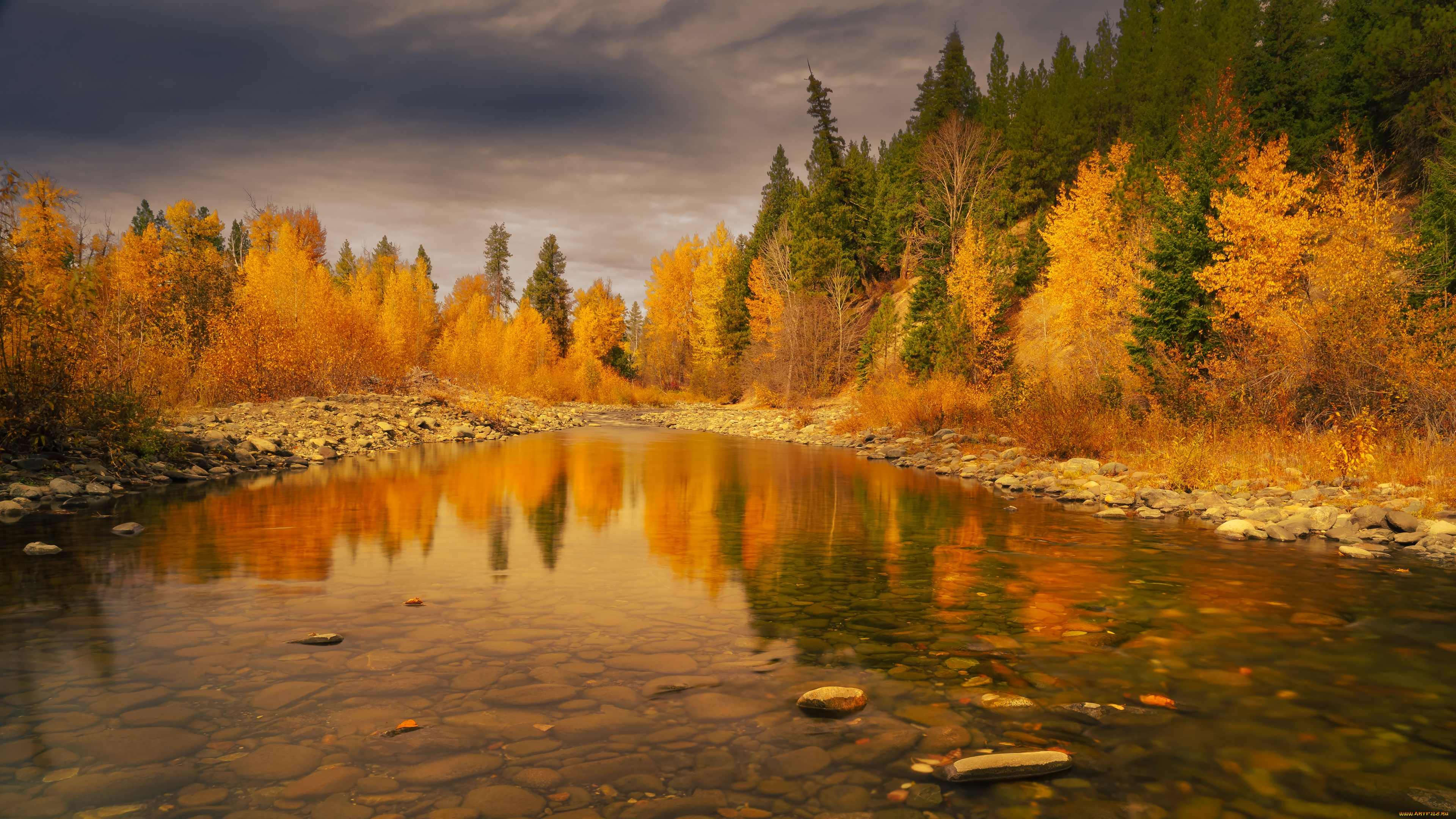 природа, лес, осень, деревья, отражение, камни, водоем, берега, краски, осени