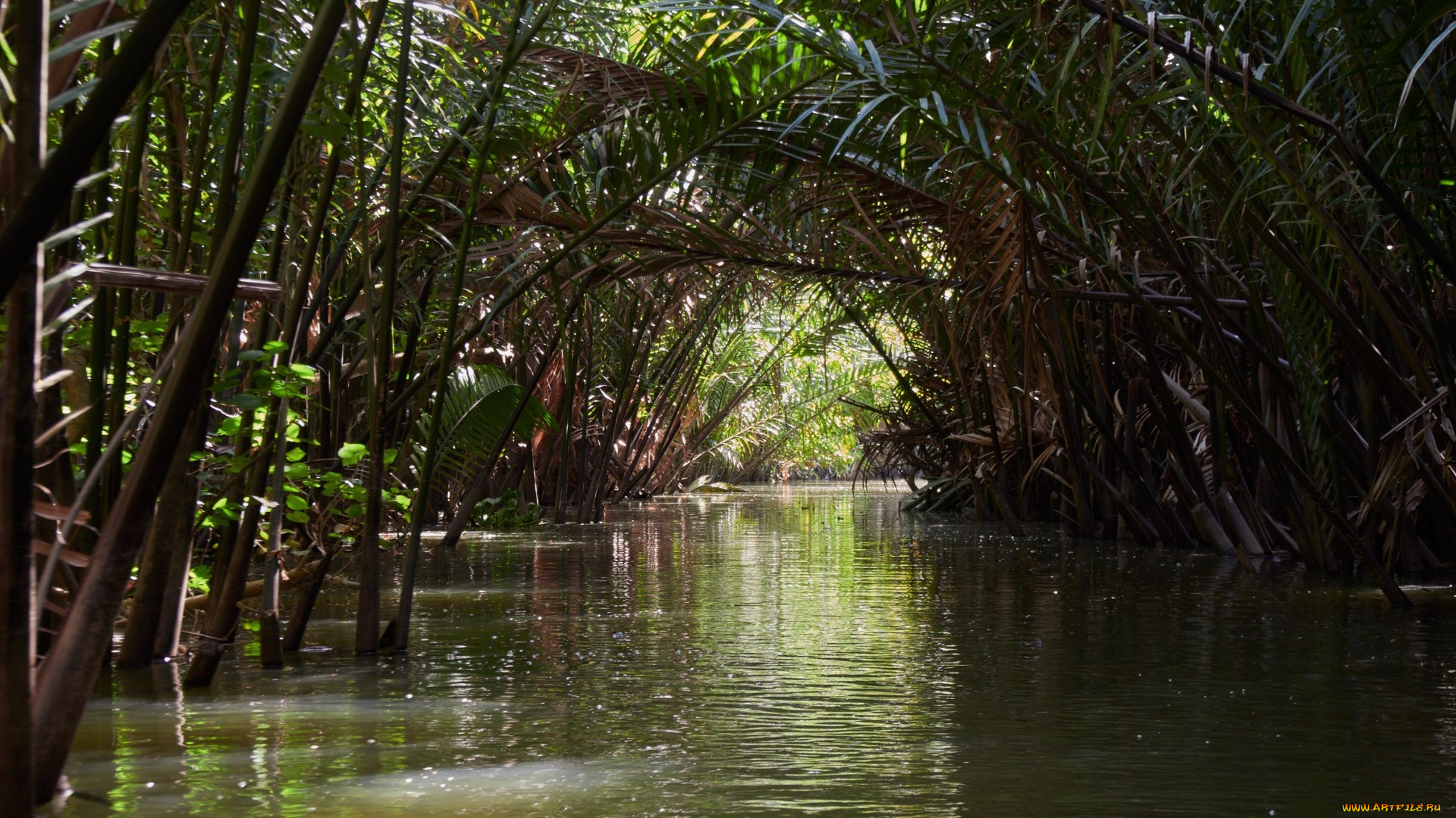 mekong, delta, vietnam, природа, реки, озера, mekong, delta