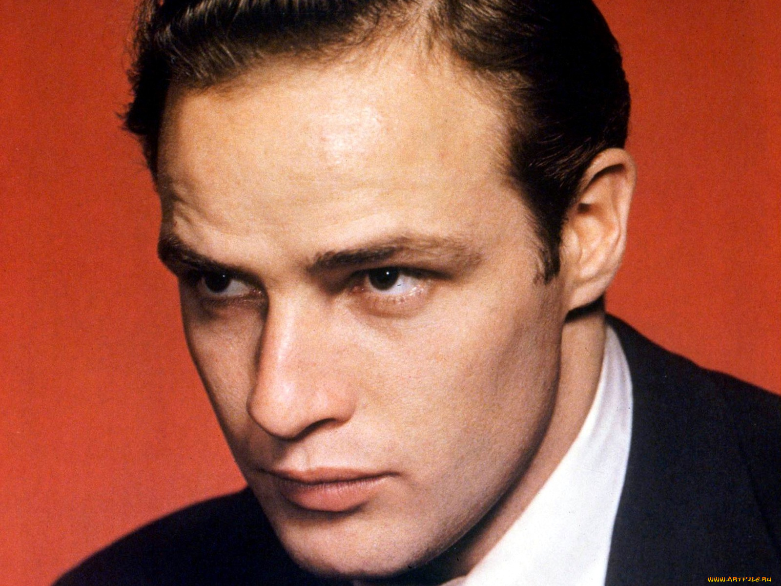 мужчины, marlon, brando