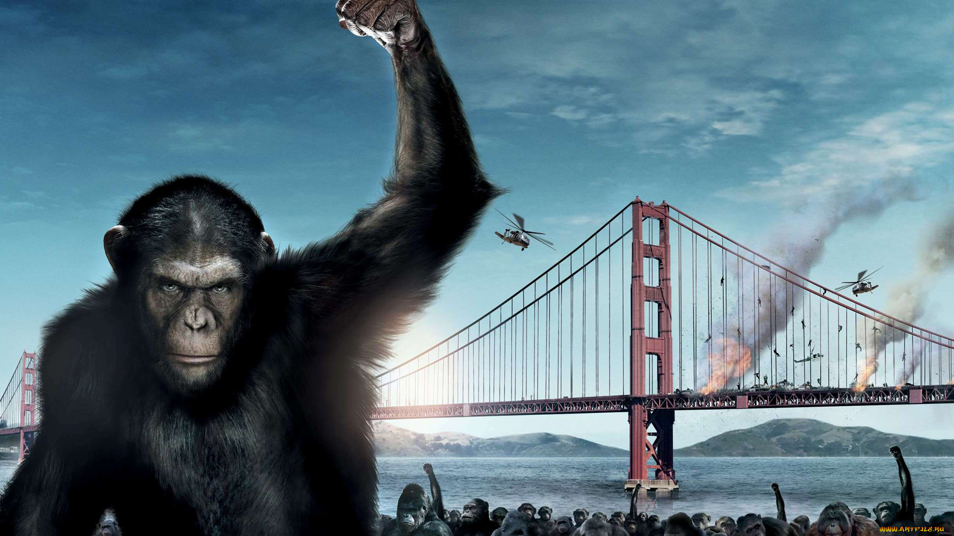 восстание, планеты, обезьян, кино, фильмы, rise, of, the, planet, apes, мост, обезьяны