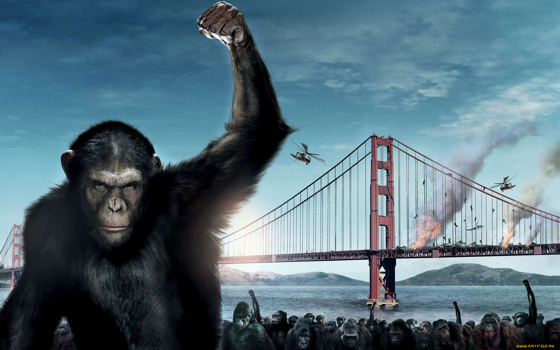 восстание, планеты, обезьян, кино, фильмы, rise, of, the, planet, apes, мост, обезьяны