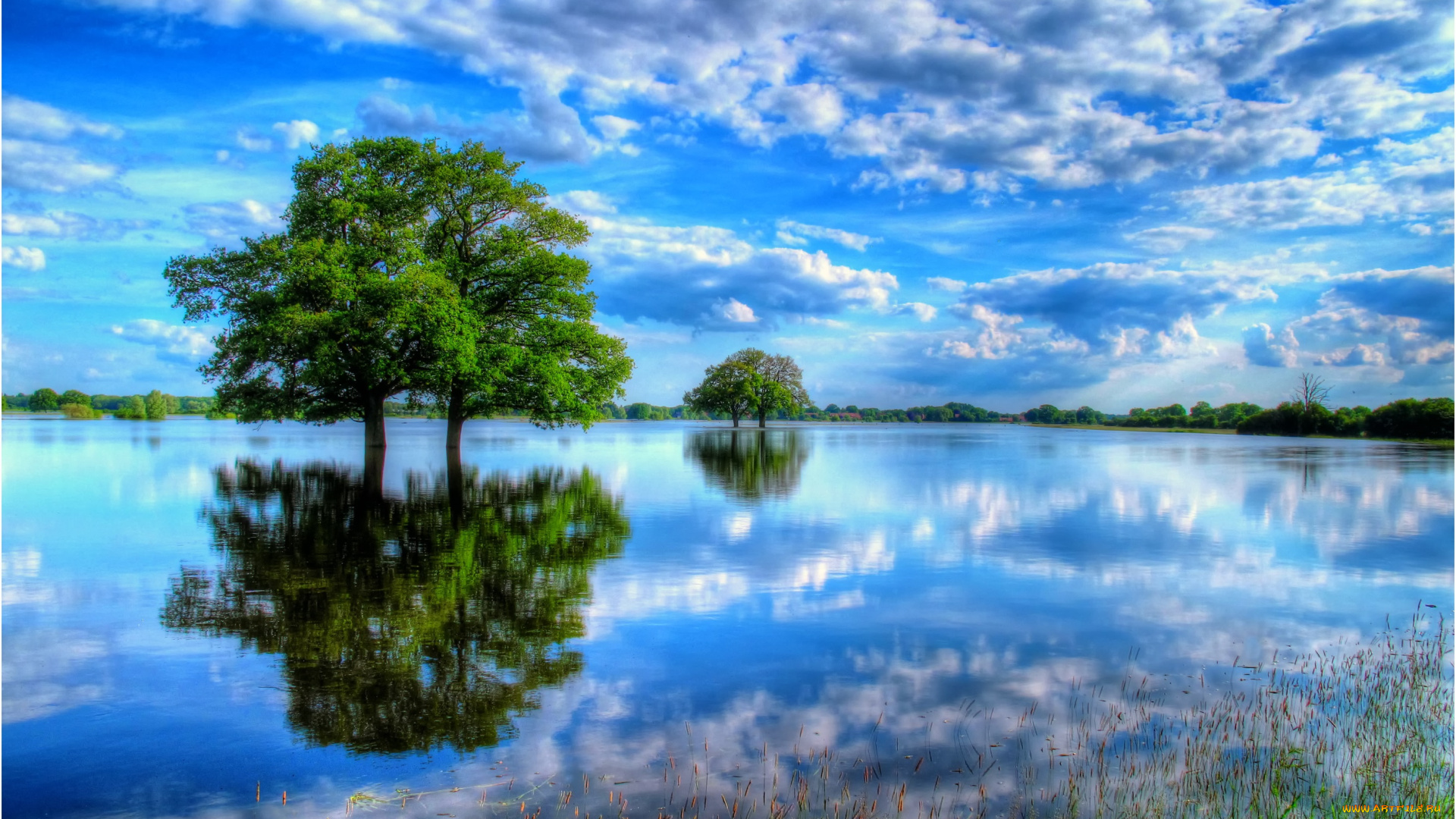природа, реки, озера, облака, отражение, красота, дерево, озеро