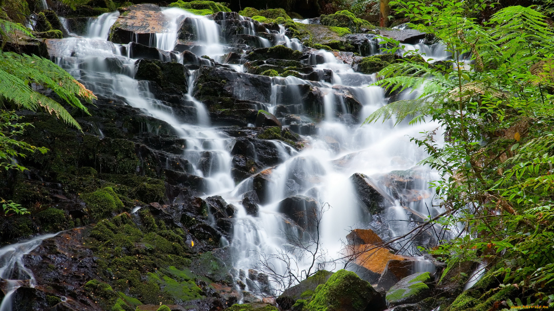 yarra, ranges, national, park, australia, природа, водопады, водопад