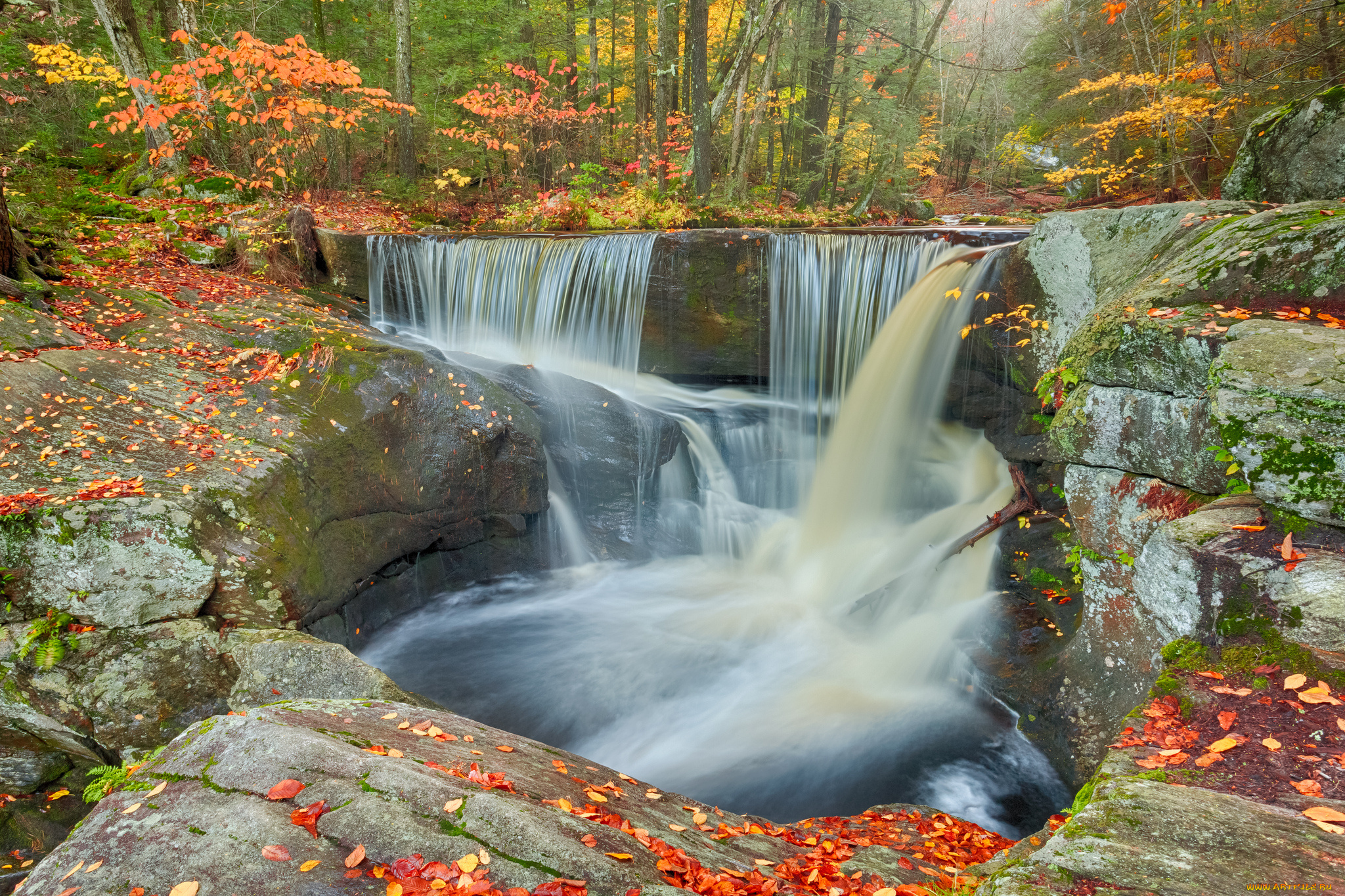 enders, falls, granby, connecticut, природа, водопады, листья, поток, гранби, коннектикут, лес, осень, камни