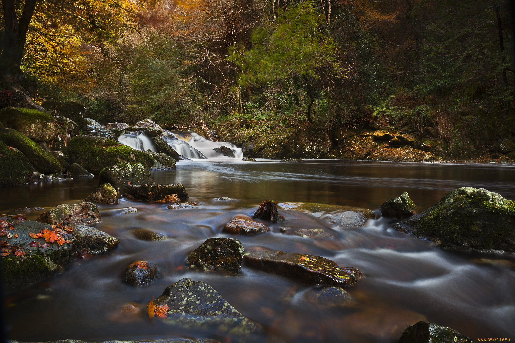 river, erme, devon, england, природа, реки, озера, осень, англия, девон, лес, камни, река