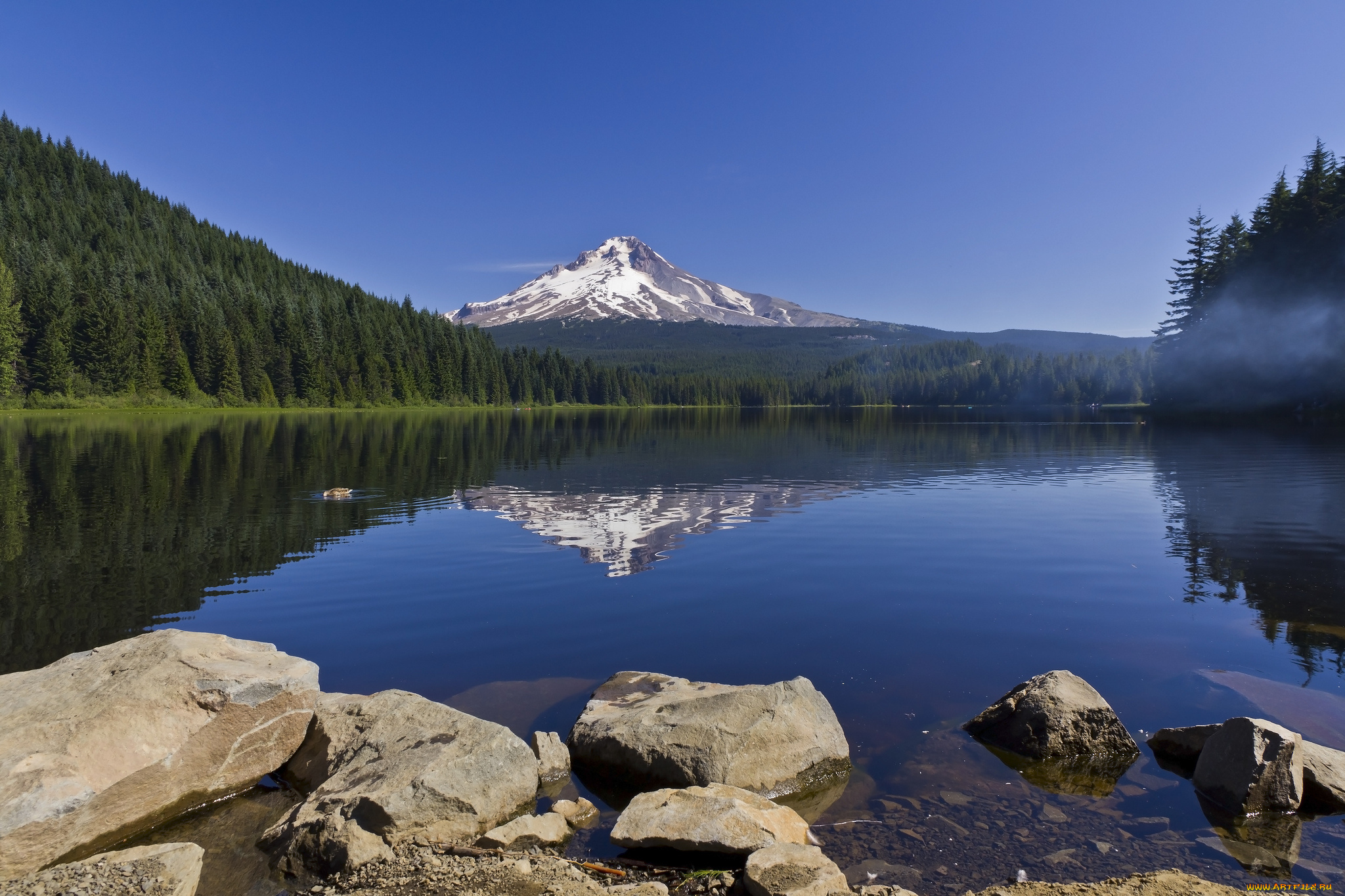 trillium, lake, oregon, природа, реки, озера, mount, hood, озеро, триллиум, орегон, гора, маунт-худ, отражение, камни, лес, пейзаж