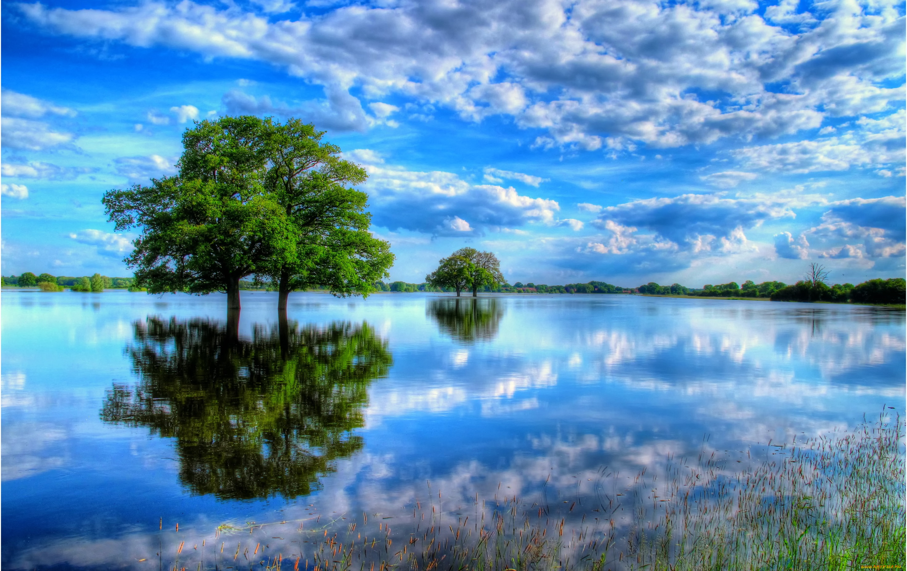 природа, реки, озера, облака, отражение, красота, дерево, озеро