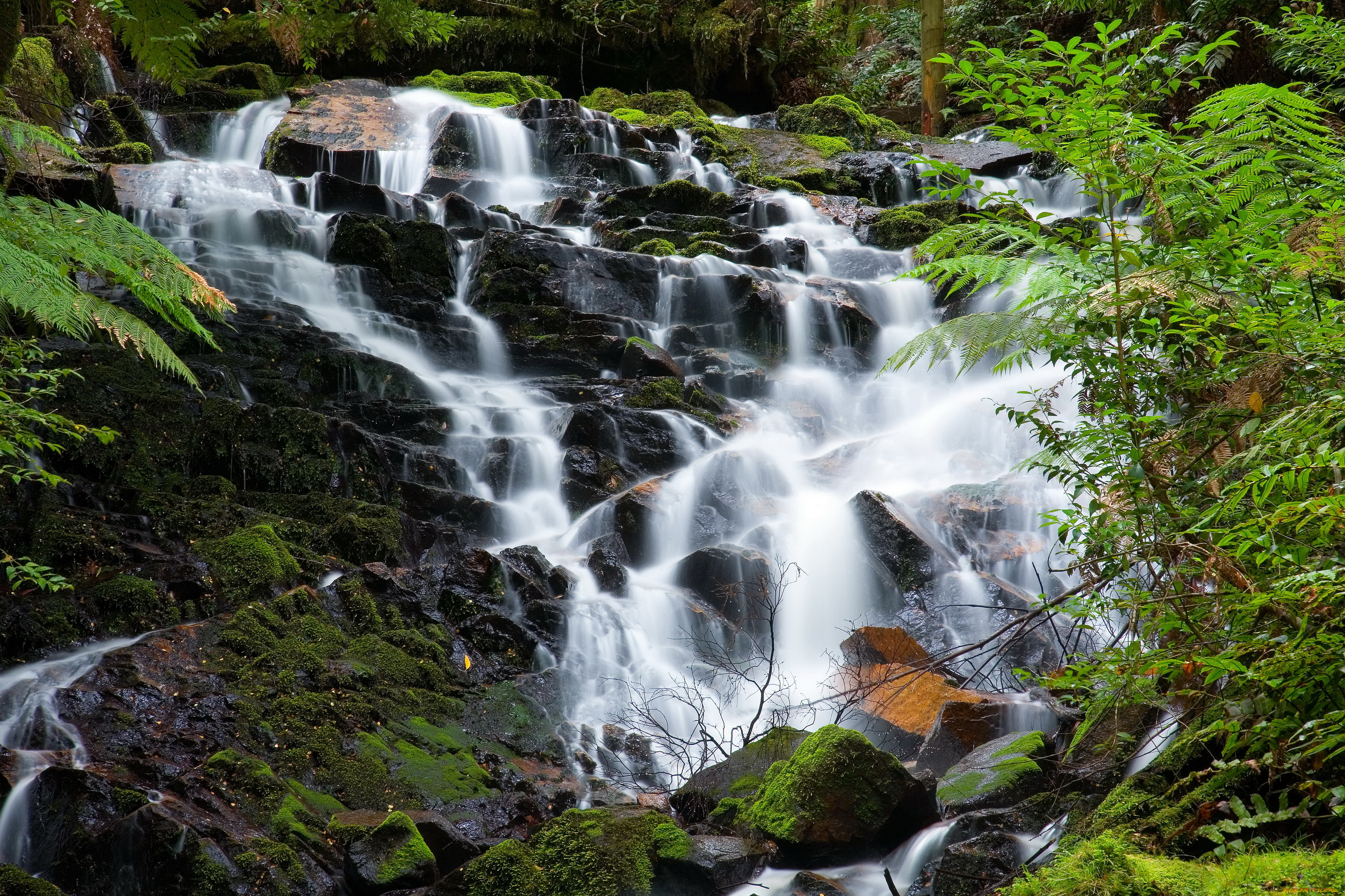 yarra, ranges, national, park, australia, природа, водопады, водопад