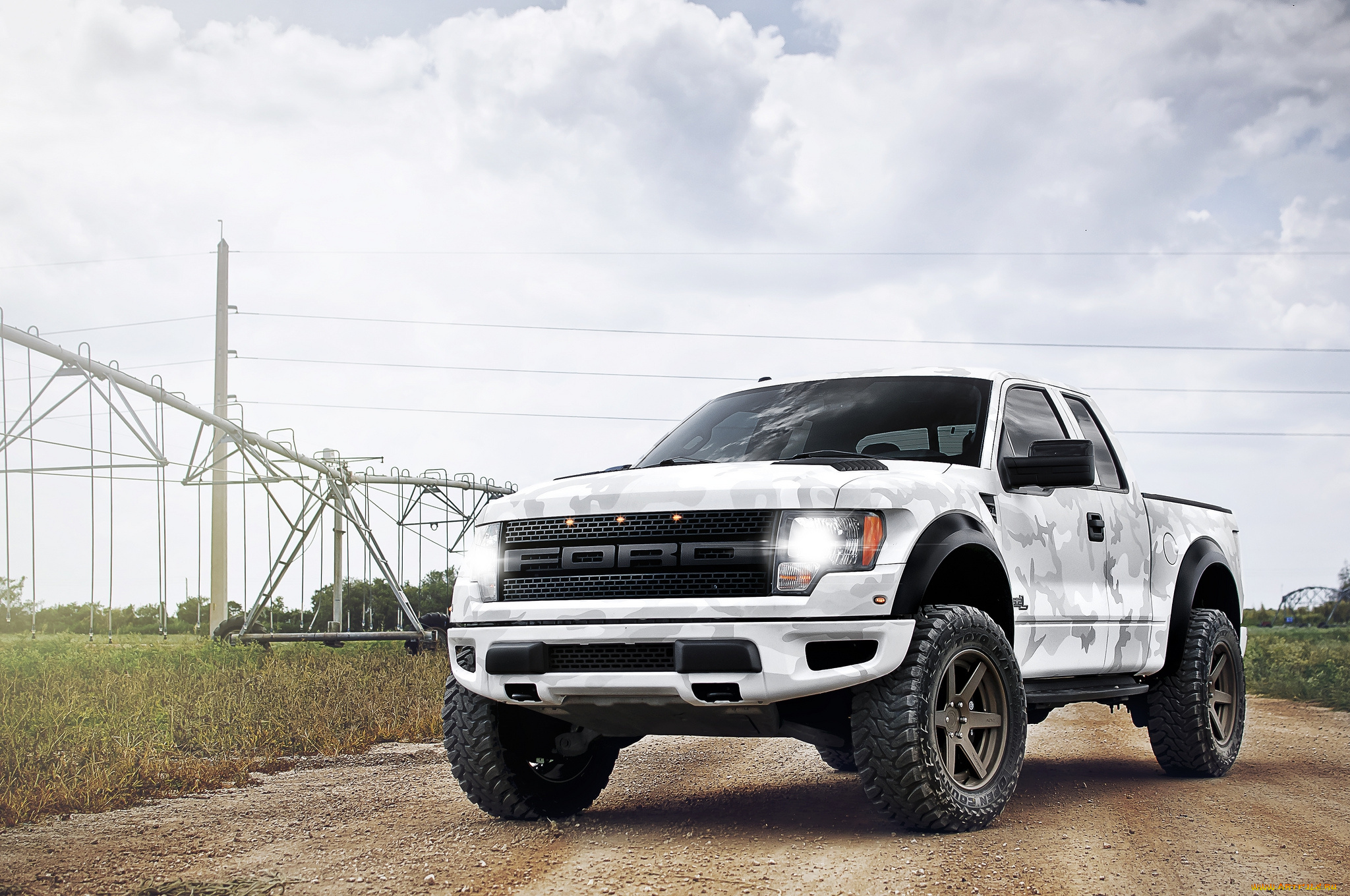 ford, f-150, raptor, автомобили, ford, внедорожник, поле