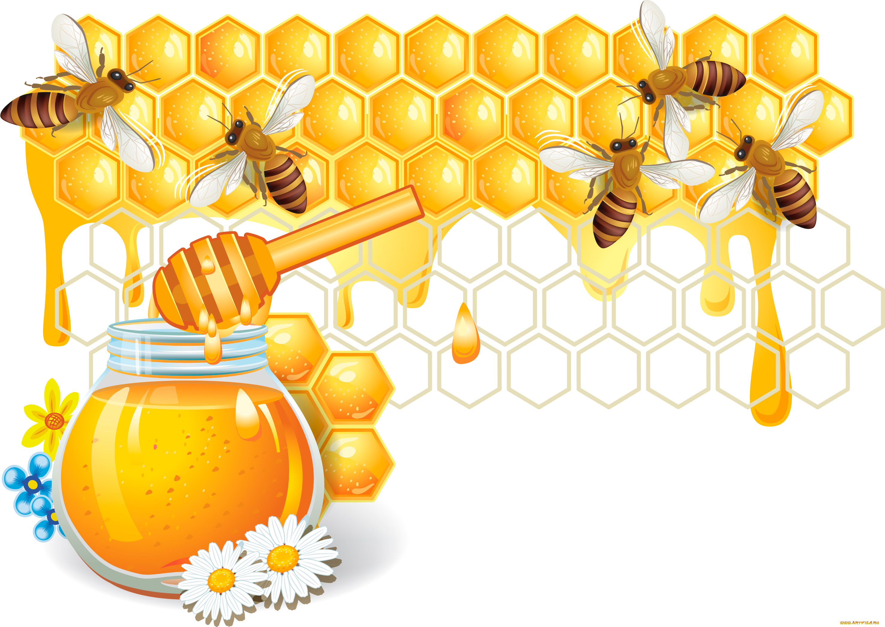 векторная, графика, еда, пчелы, мед