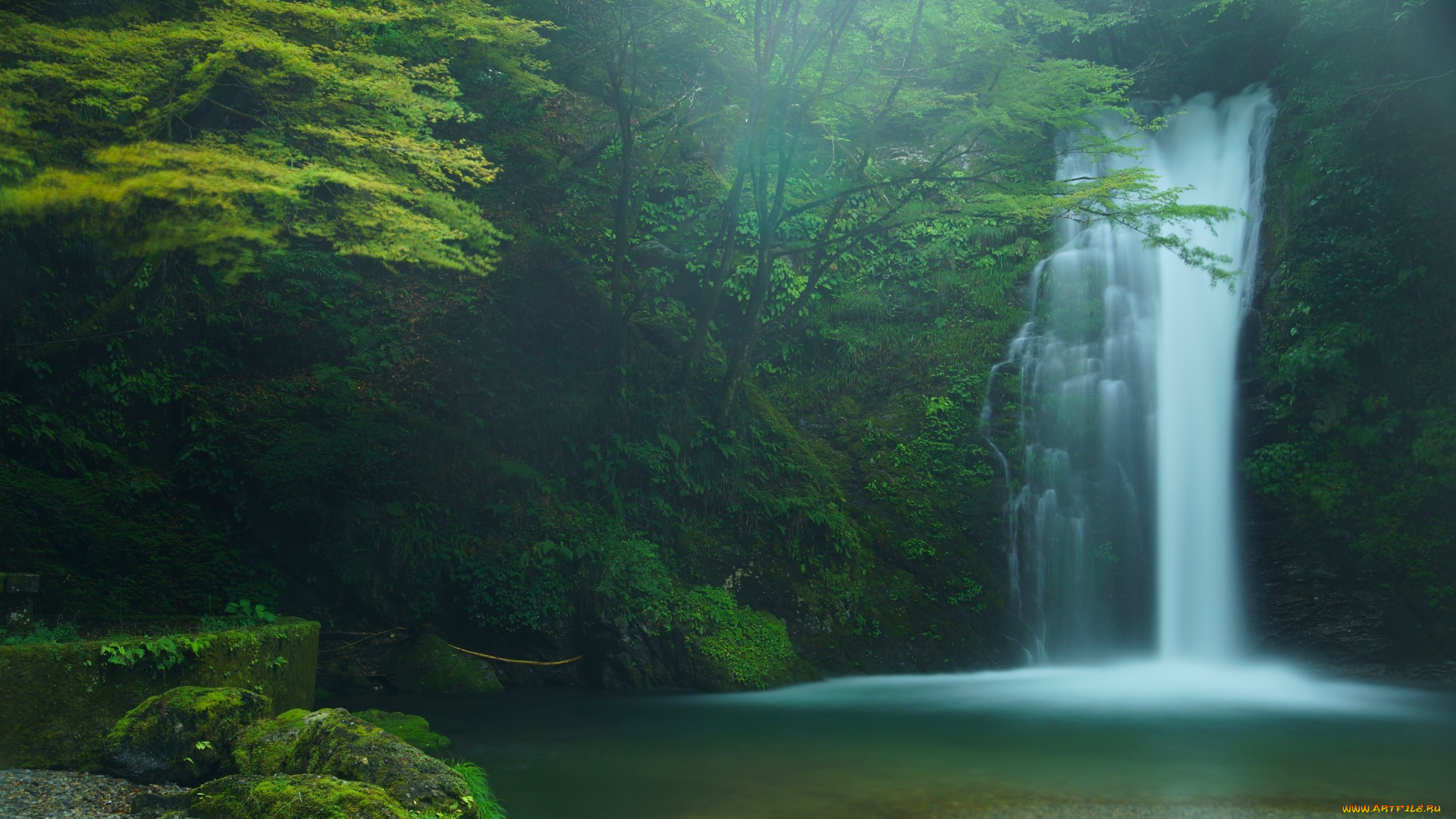 природа, водопады, japan, водопад, шираито, fujinomiya, shiraito, falls, деревья, лес, Япония, фудзиномия