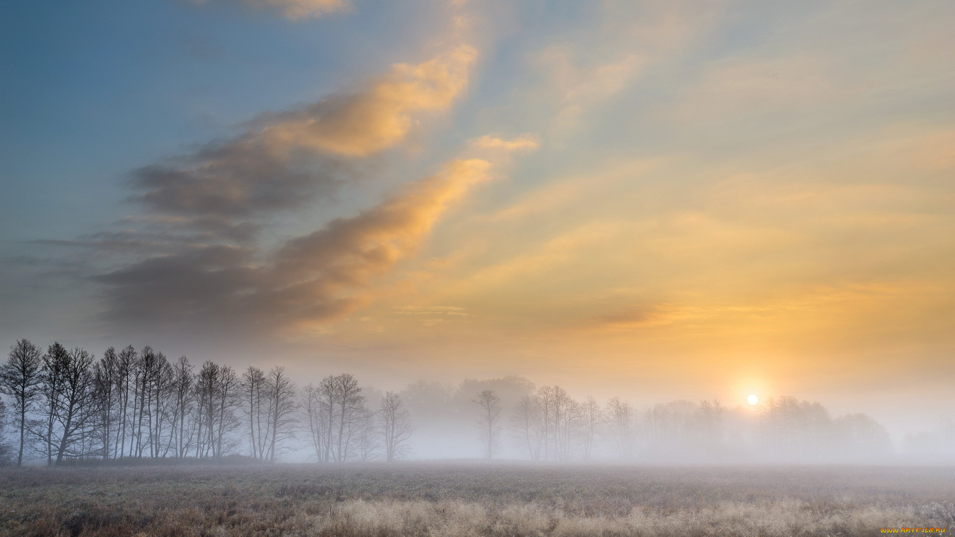 природа, восходы, закаты, autumn, foggy, morning