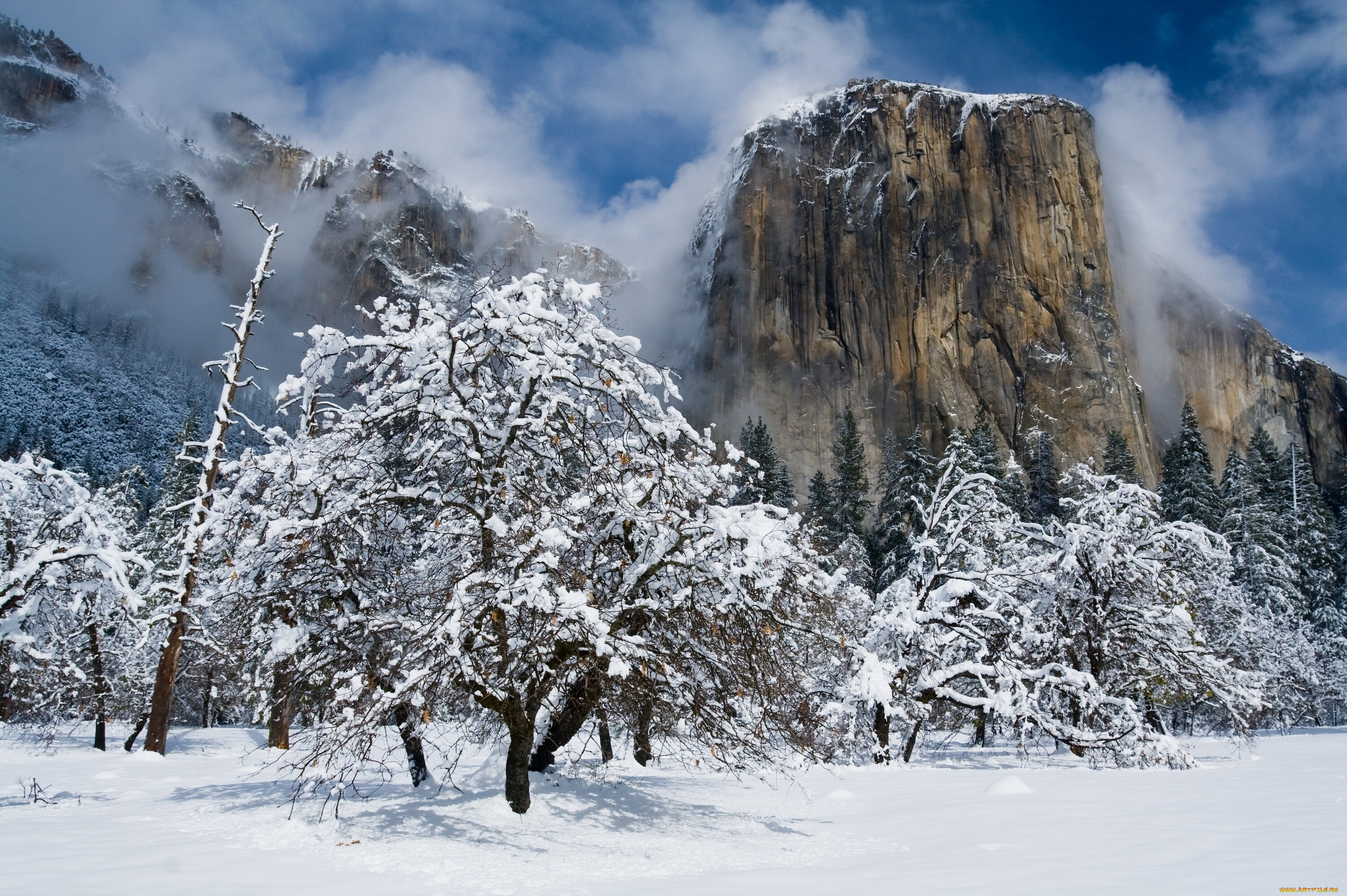 природа, зима, национальный, парк, йосемити, калифорния, california, гора, эль-капитан, горы, деревья, снег, yosemite, national, park, el, capitan