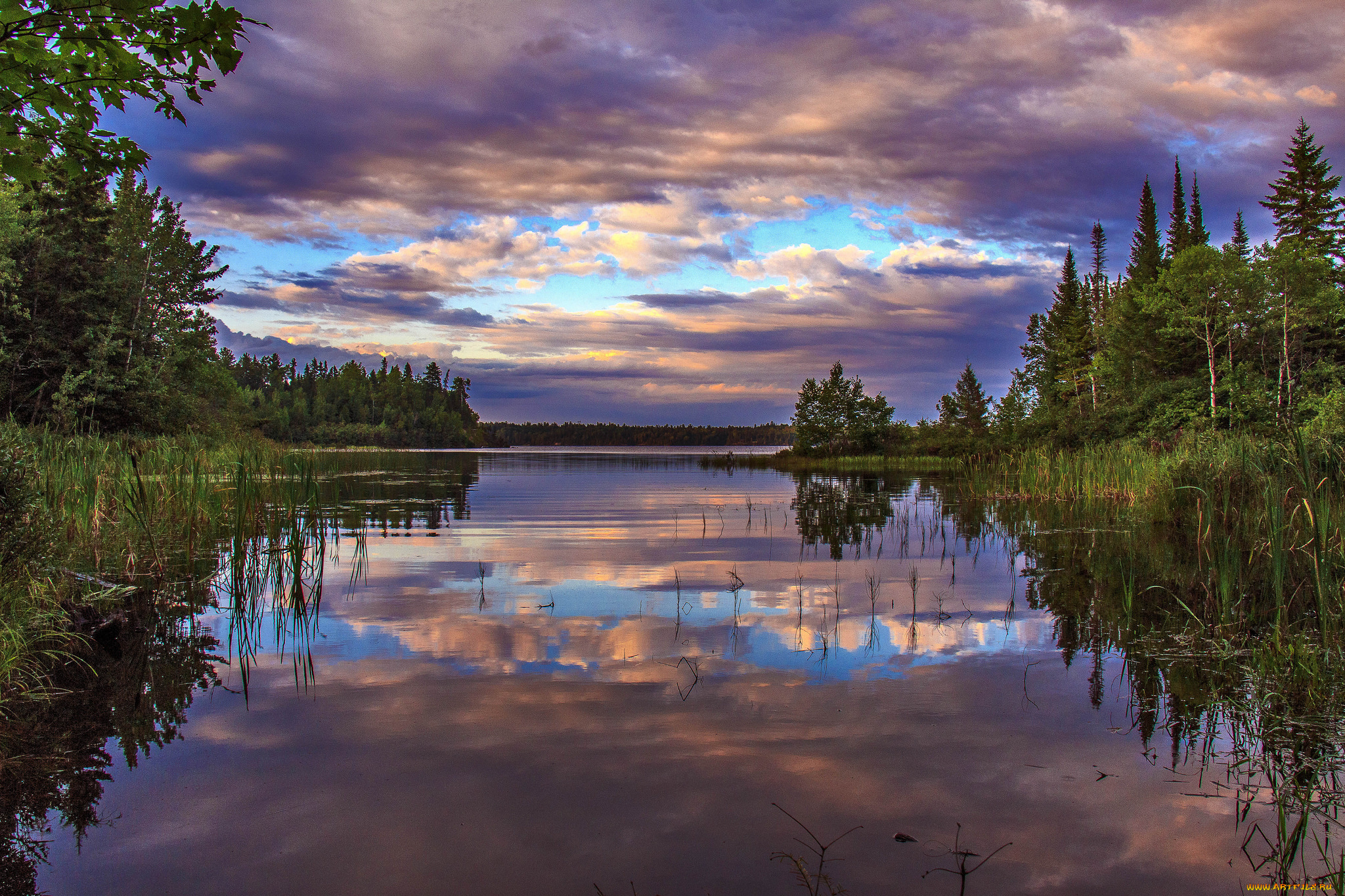 природа, реки, озера, река, лес