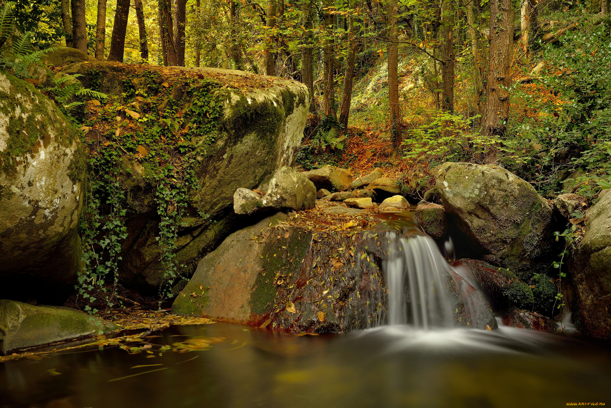 природа, водопады, водопад, река, лес