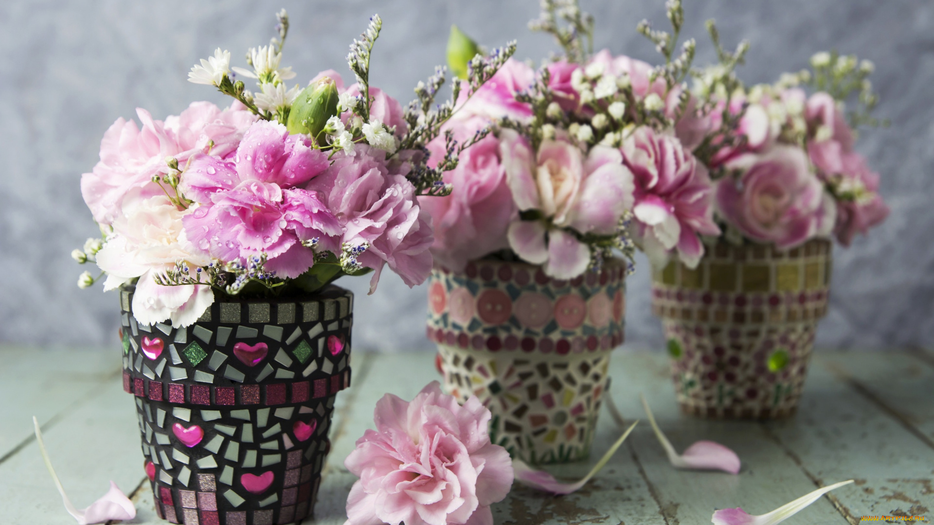 цветы, гвоздики, flowers, pink, romantic, лепестки, розовые, vintage, beautiful