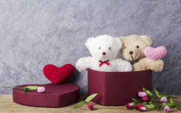 обоя разное, игрушки, wood, love, любовь, gift, romantic, тюльпаны, cute, мишка, розовые, heart, цветы, сердце, pink, игрушка, tulips, bear, valentine's, day, flowers, подарок, teddy