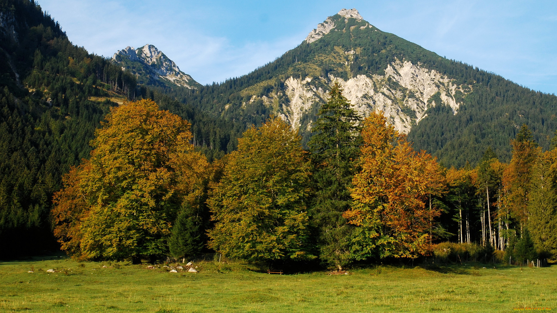 австрия, альпы, природа, горы, лужайка, лес