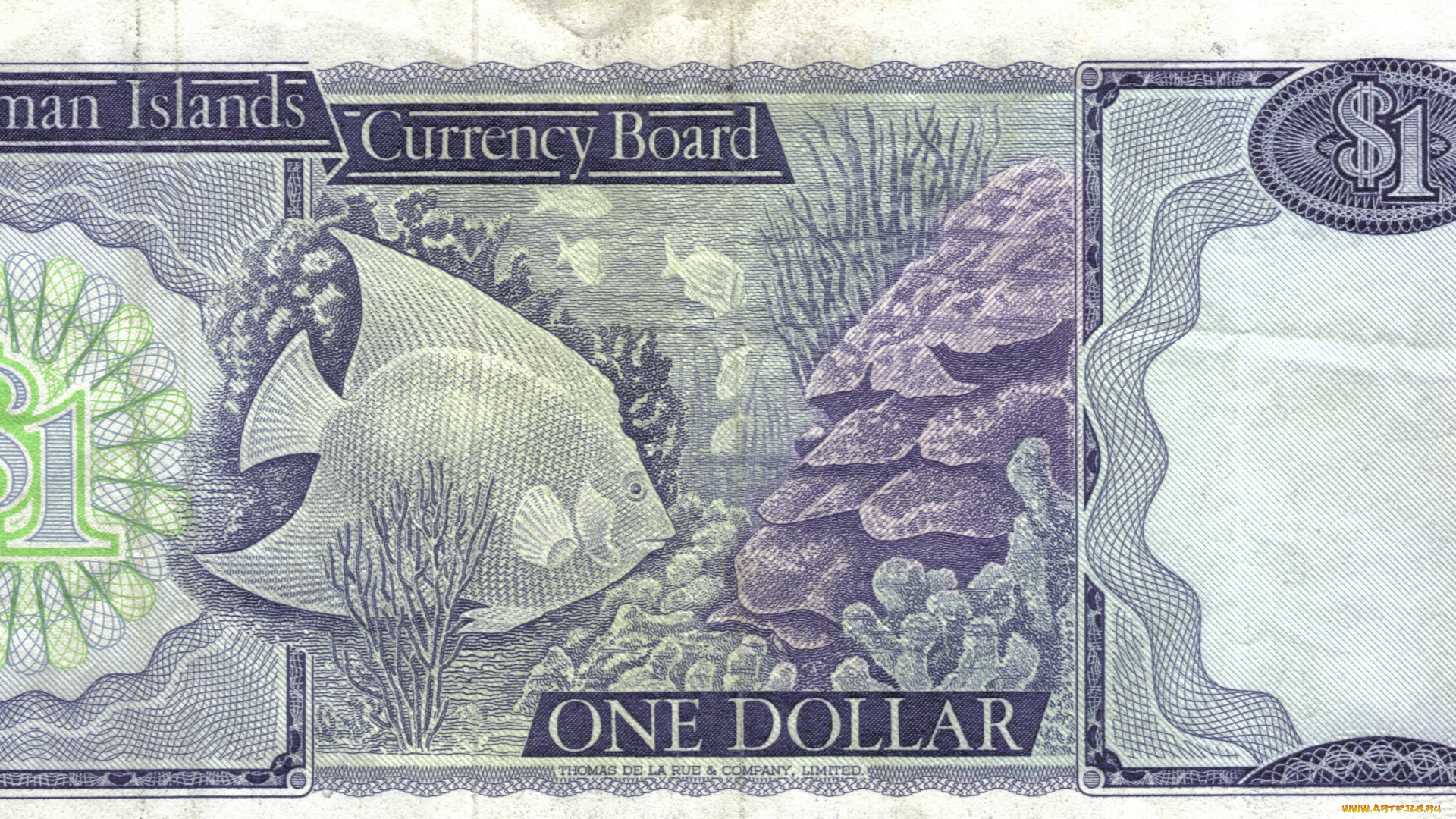 dollar, разное, золото, купюры, монеты, деньги, банкнота, доллар, каймановы, острова
