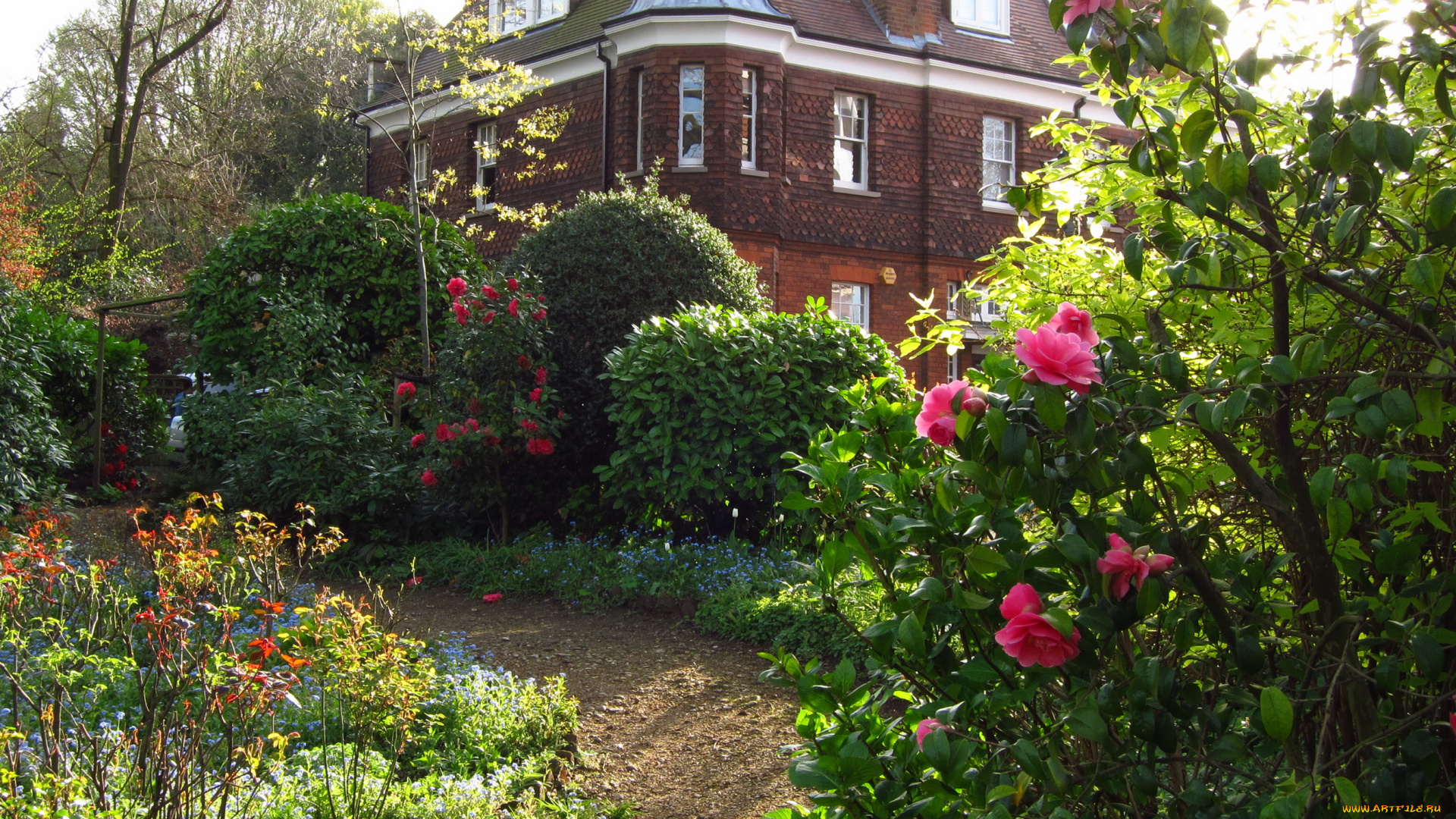 hampstead, london, england, города, здания, дома, цветы, ландшафт