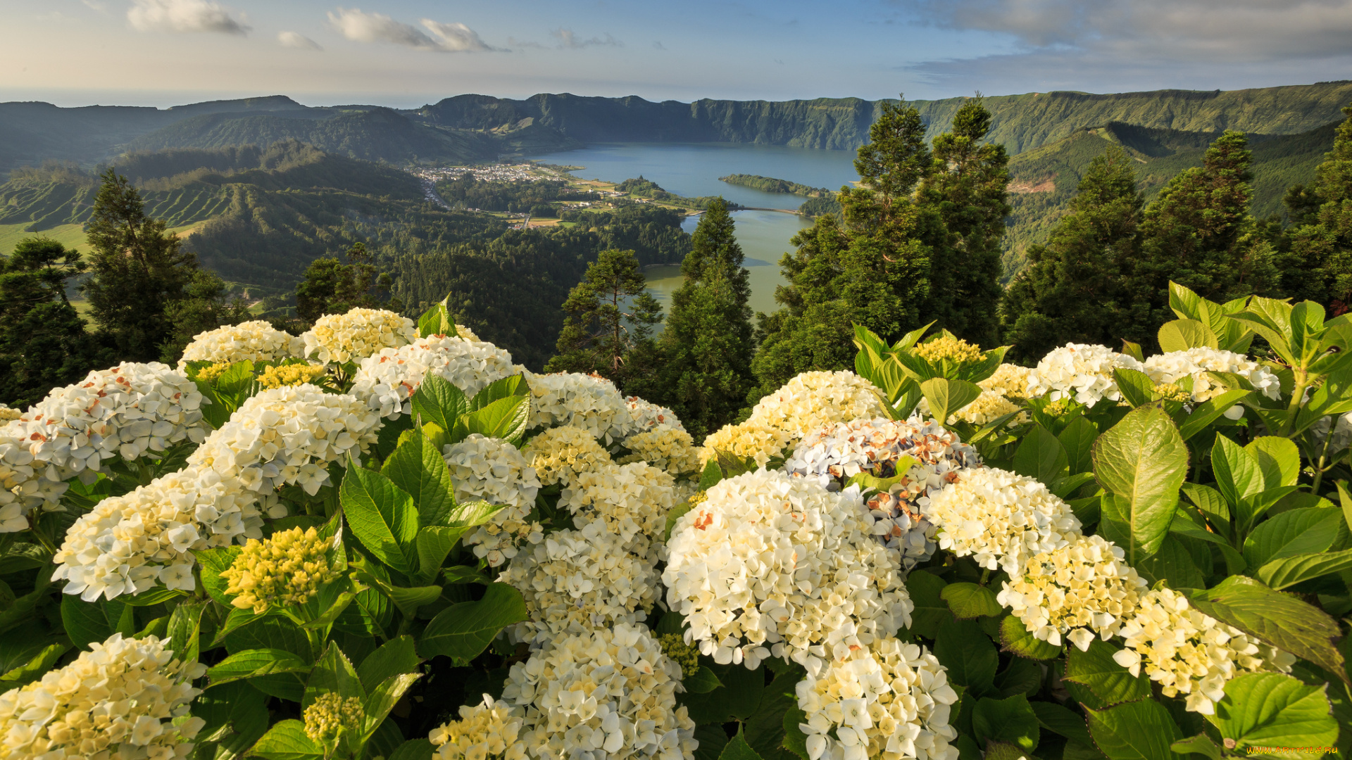 lagoon, of, the, seven, cities, mosteiros, azores, portugal, природа, пейзажи, гортензии, португалия, азорские, острова, моштейруш