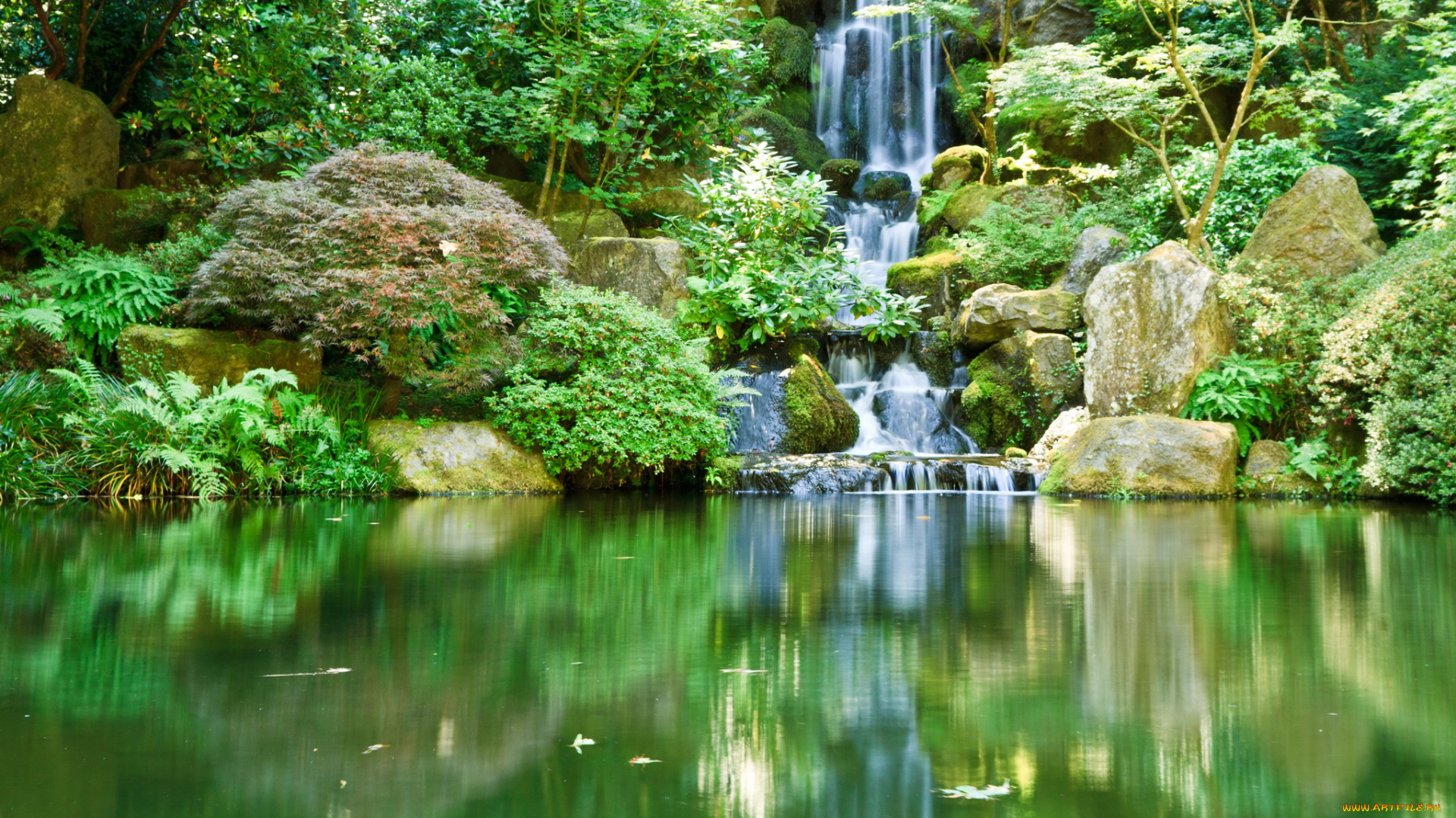 portland, japanese, gardens, waterfall, природа, парк, река, водопад, растения