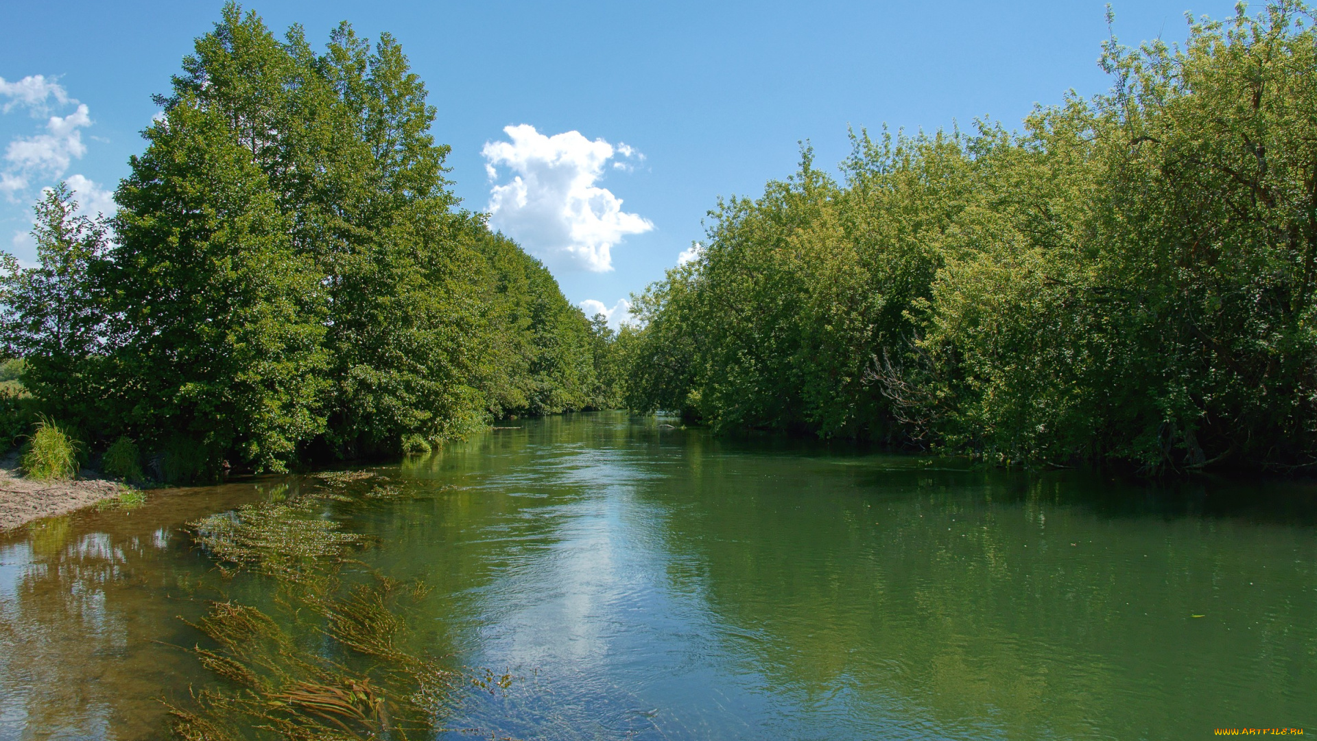 природа, реки, озера, река