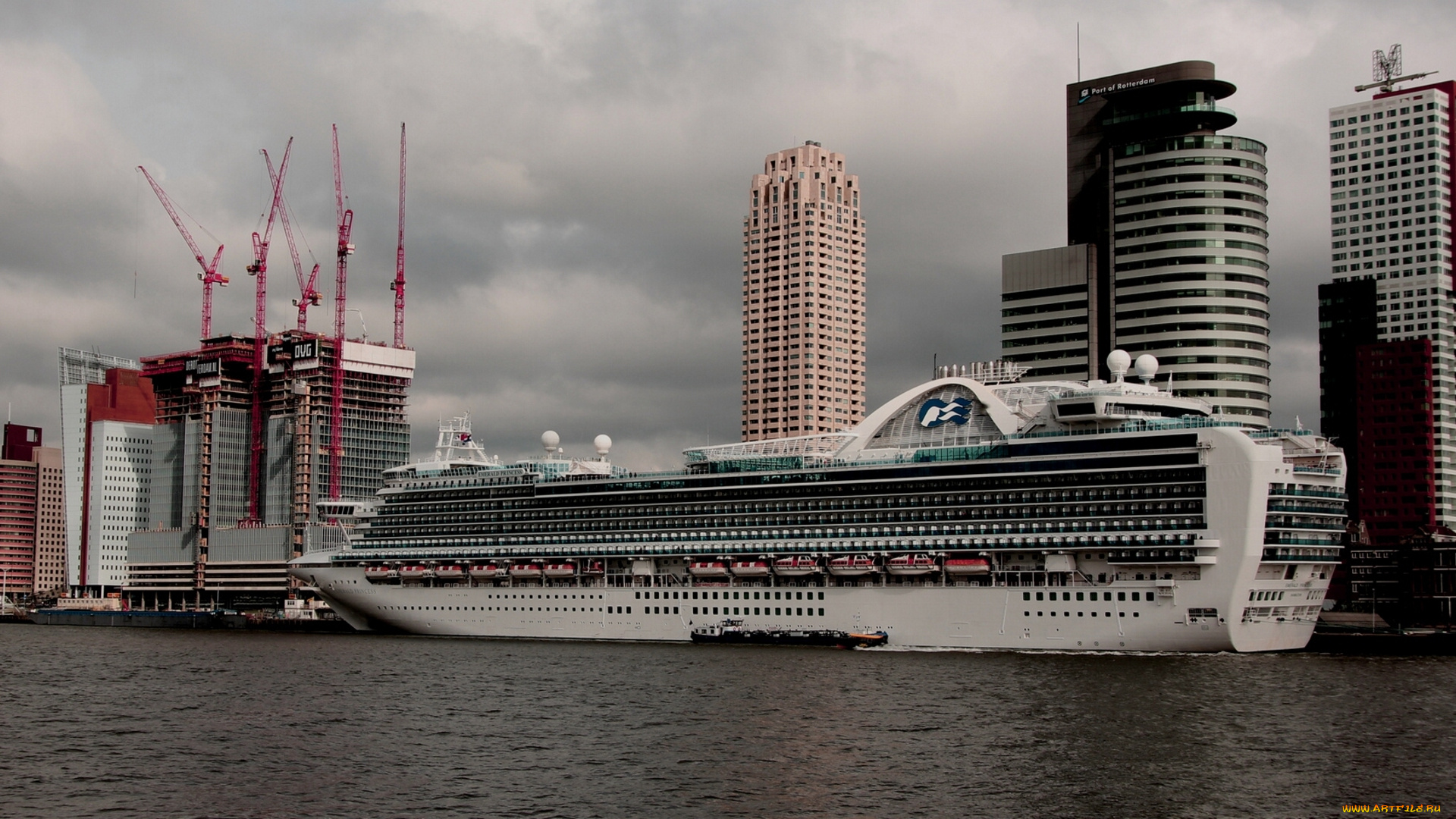 rotterdam, netherlands, корабли, лайнеры, причал, здания, голландия, нидерланды, роттердам