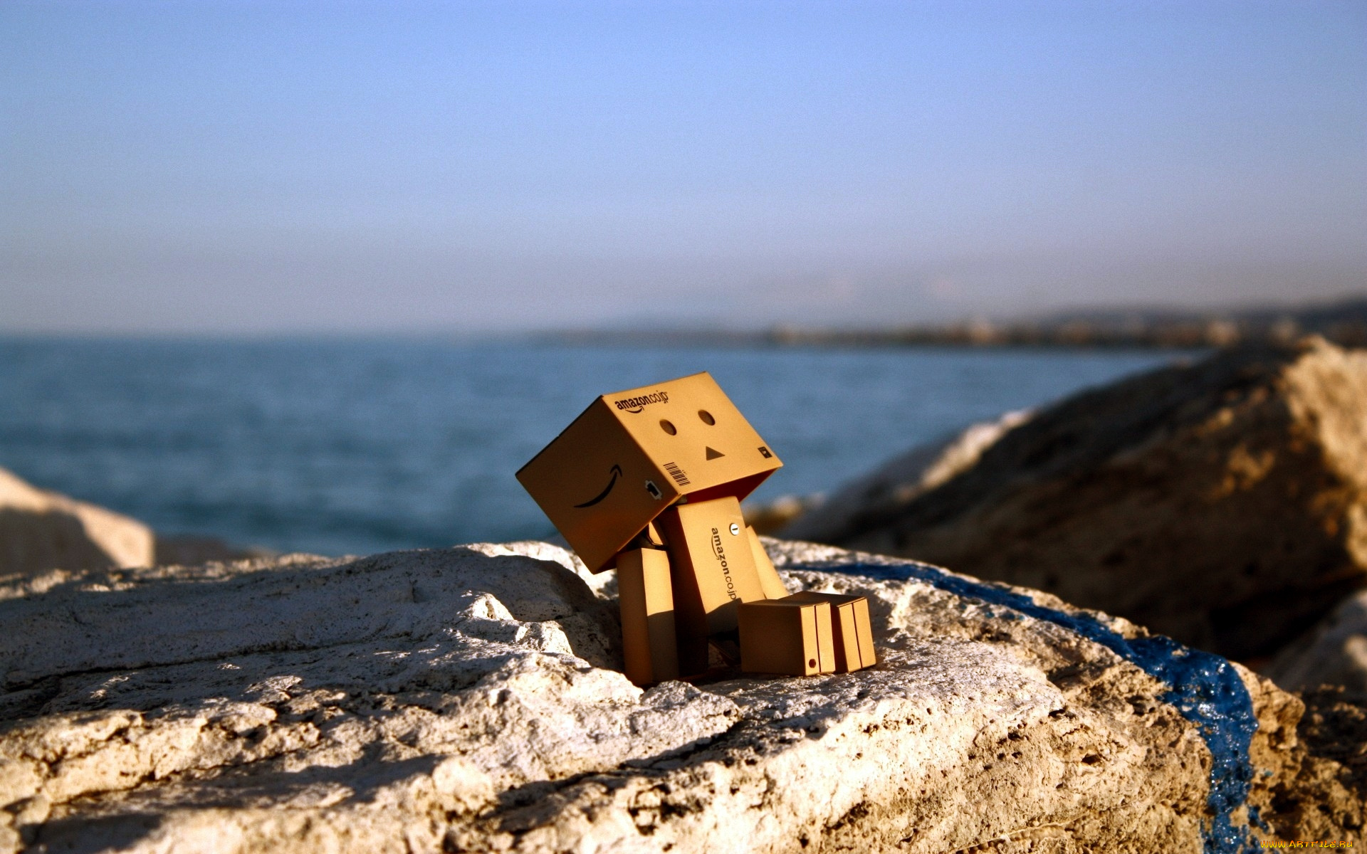 разное, данбо, danboard, море