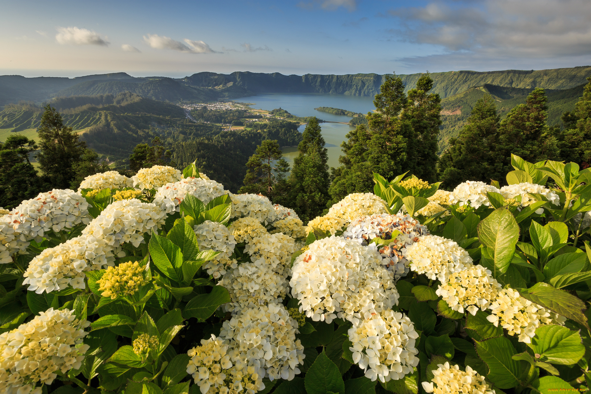 lagoon, of, the, seven, cities, mosteiros, azores, portugal, природа, пейзажи, гортензии, португалия, азорские, острова, моштейруш