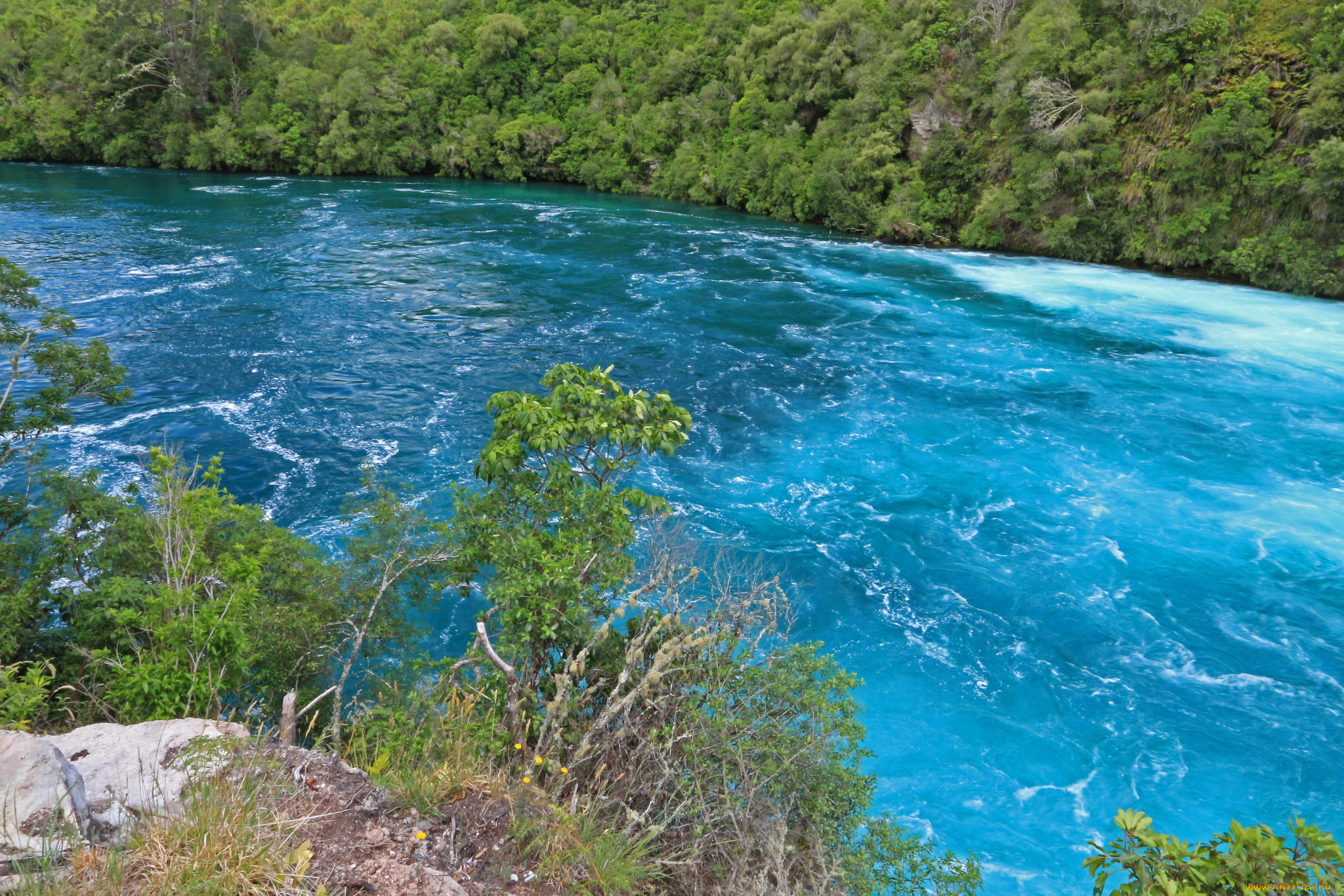 природа река Новая Зеландия скачать