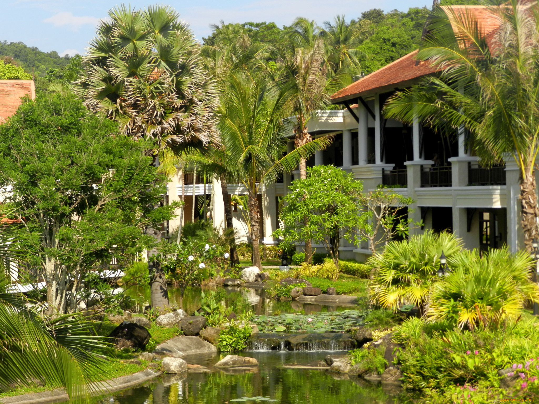 остров, krabi, таиланд, природа, парк, водоем, растения, павильон