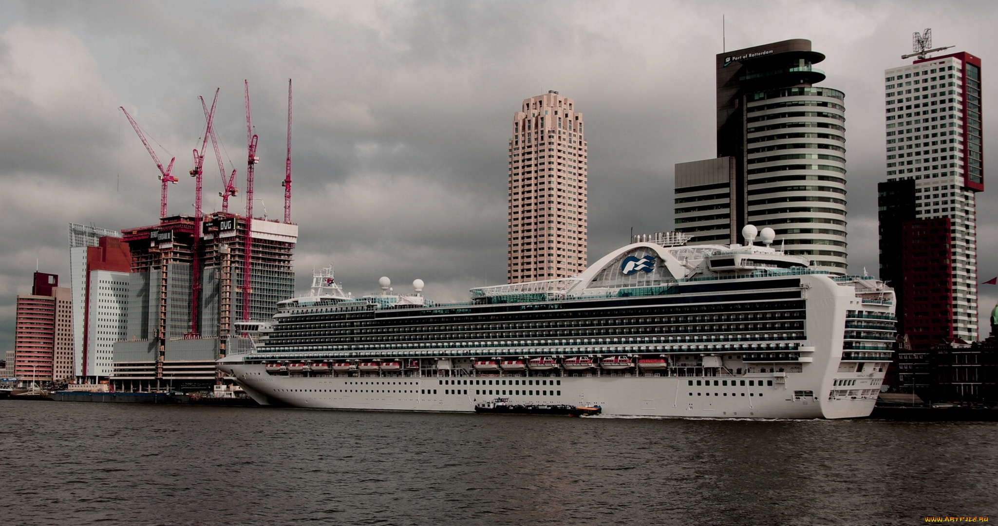 rotterdam, netherlands, корабли, лайнеры, причал, здания, голландия, нидерланды, роттердам