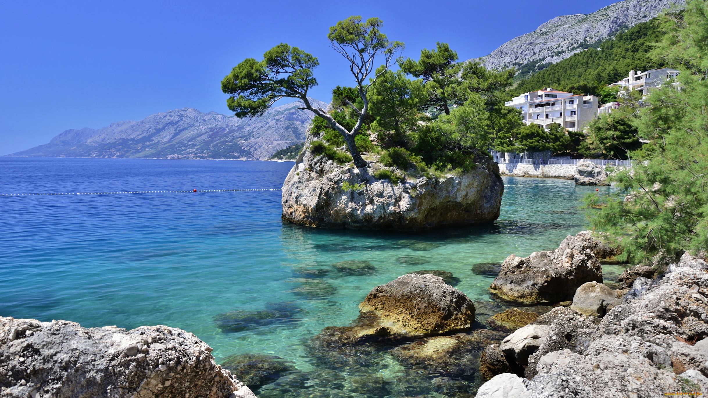природа камень море деревья Брела Хорватия бесплатно