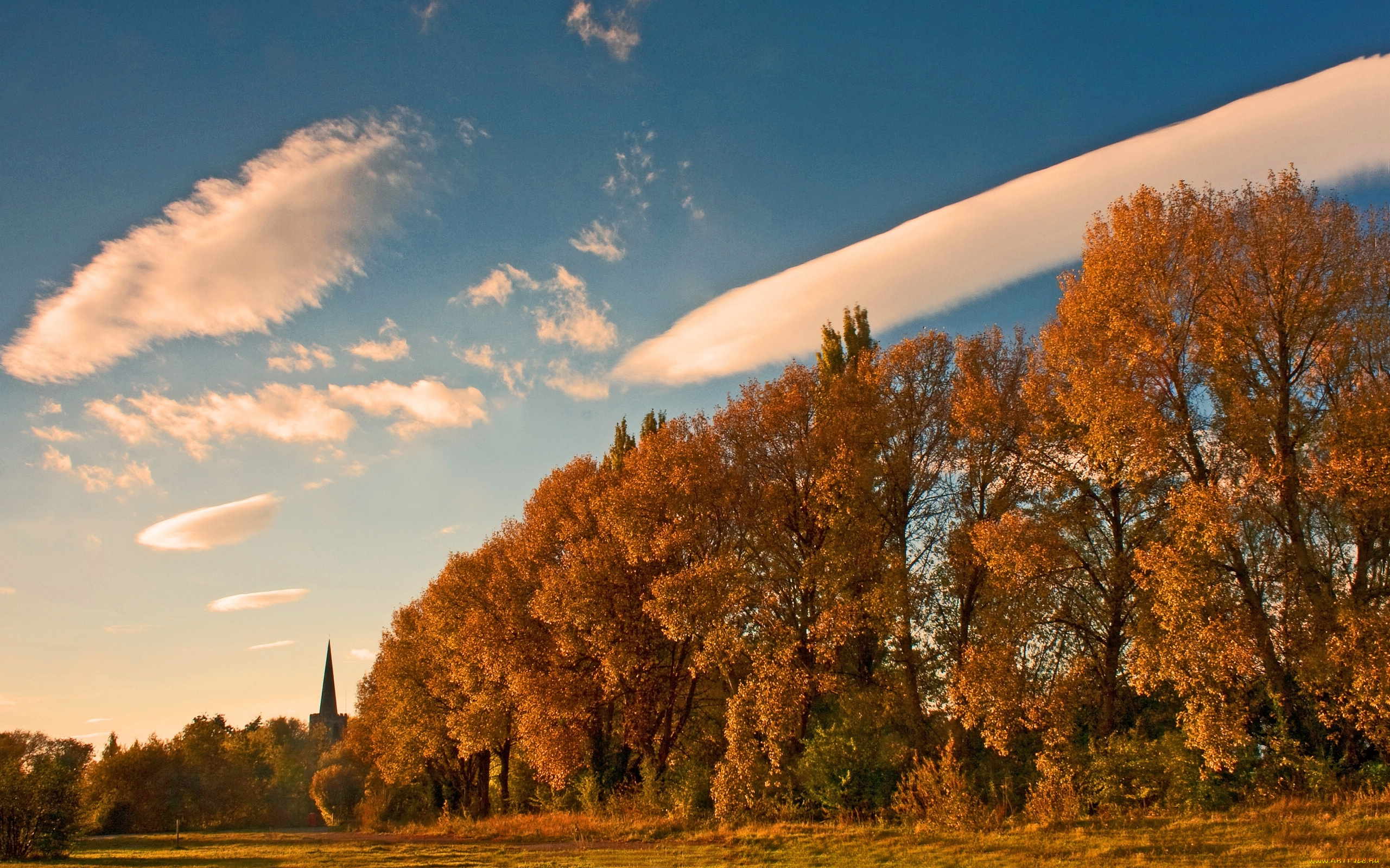 attenborough, nottinghamshire, england, природа, деревья, аттенборо, осень, англия, ноттингемшир