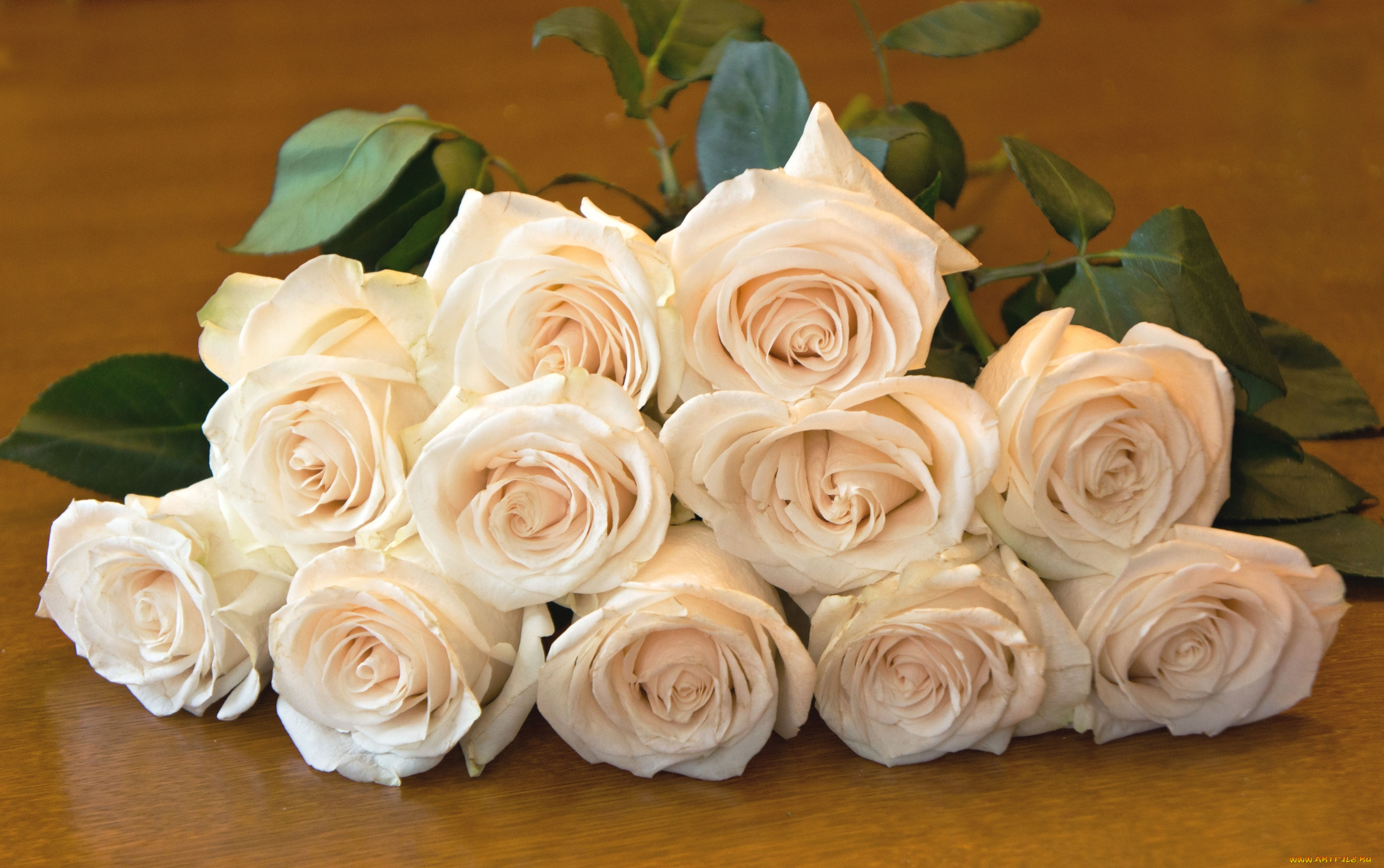 Красивые кремовые. Розы кремового цвета. Букет чайных роз. Красивый букет кремовых роз.