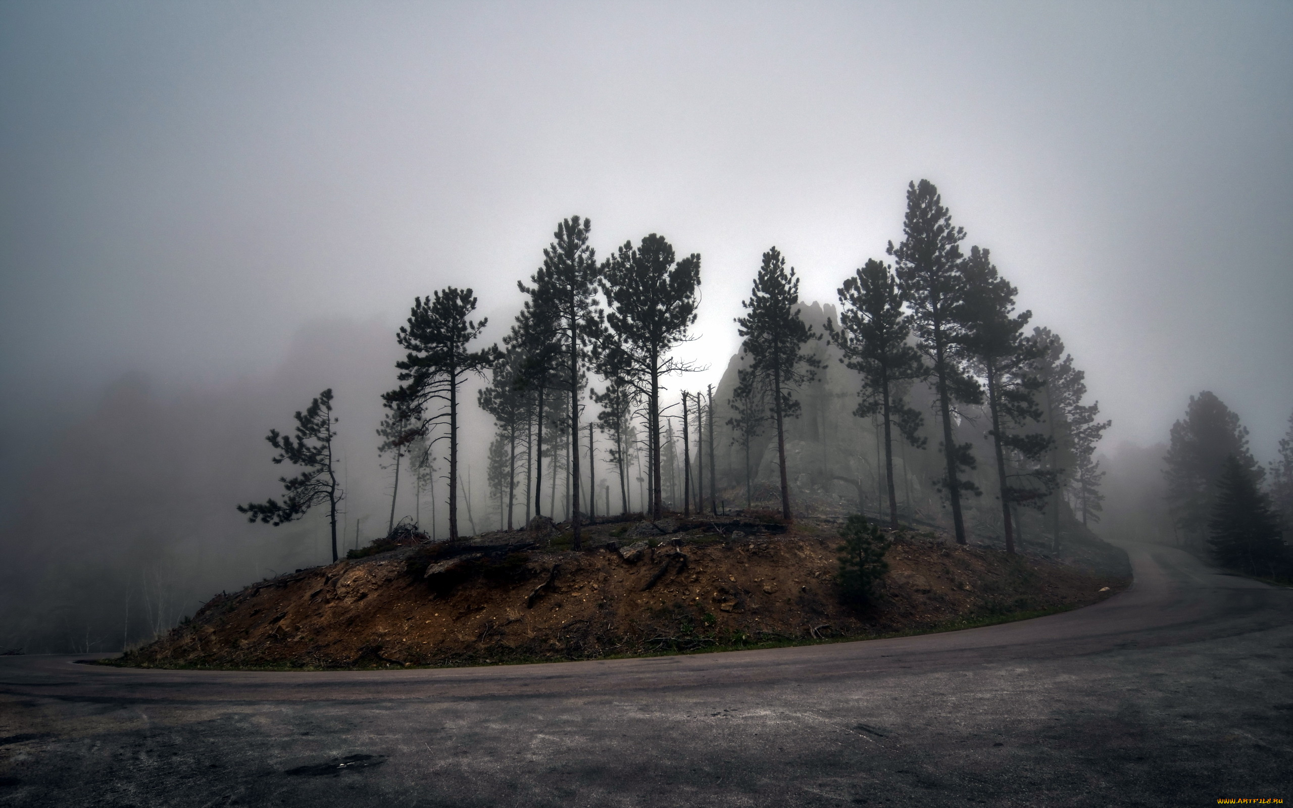 природа, дороги, туман, деревья, пейзаж