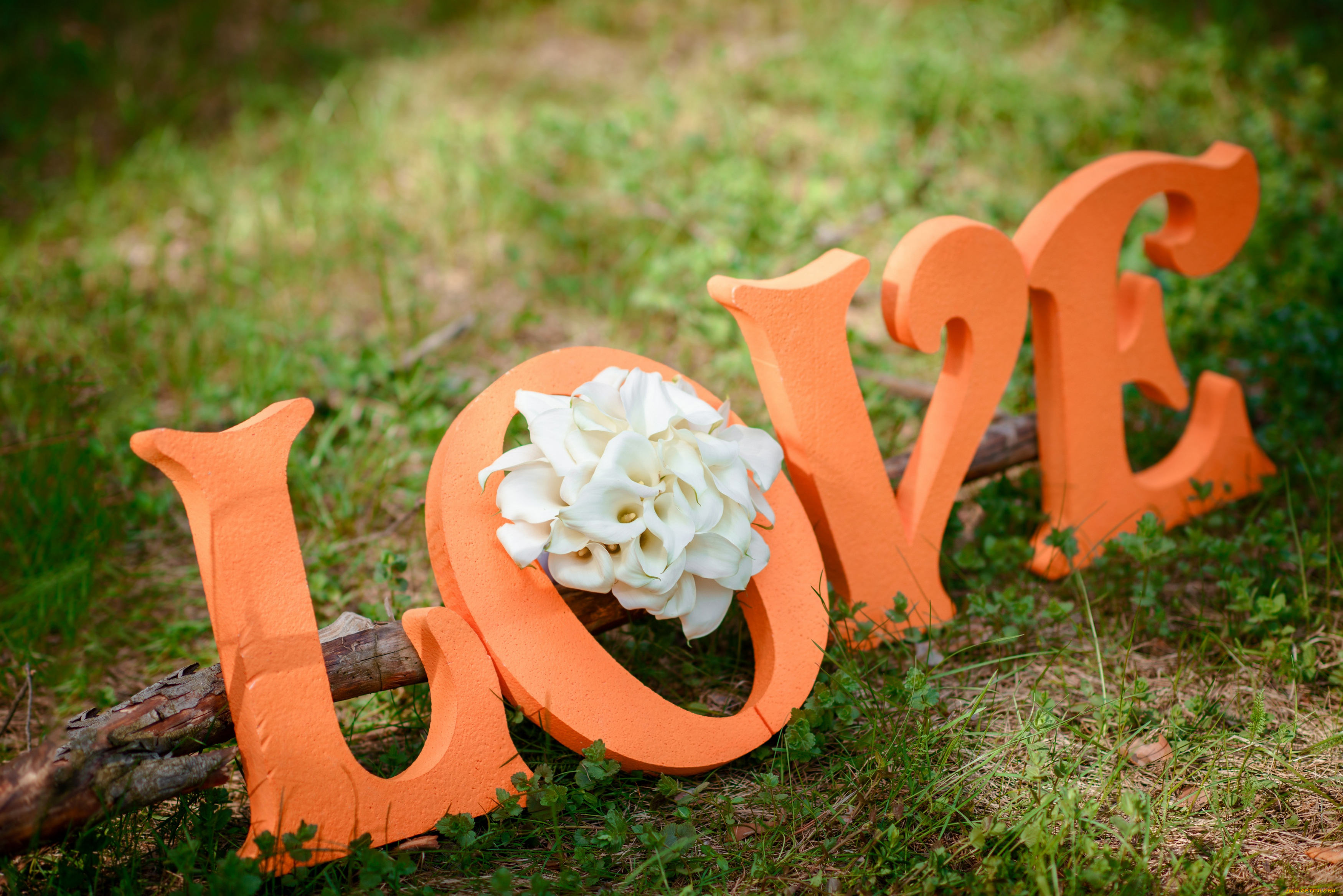 Нат лов. Буквы для фотосессии. Буквы на свадьбу. Буквы из пенопласта на свадьбу. Деревянные буквы на свадьбу.
