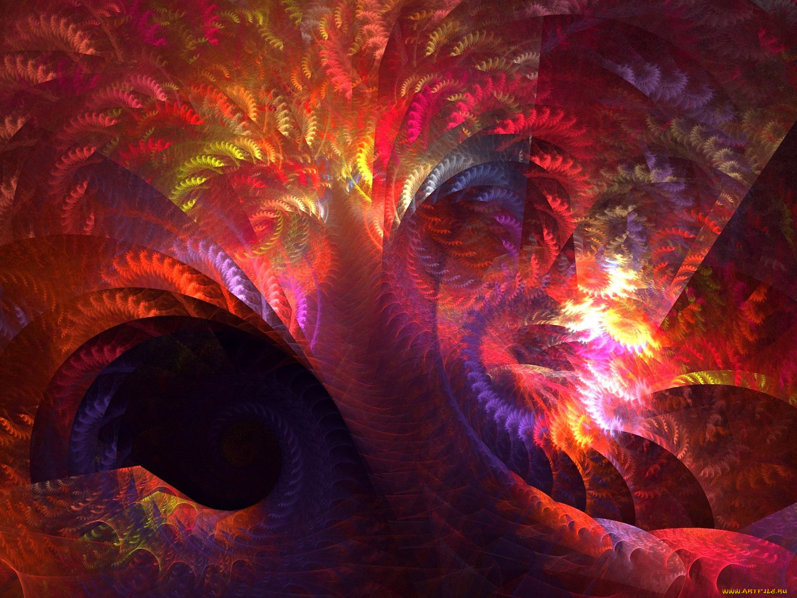 3д, графика, fractal, фракталы, цвета, узор, фрактал