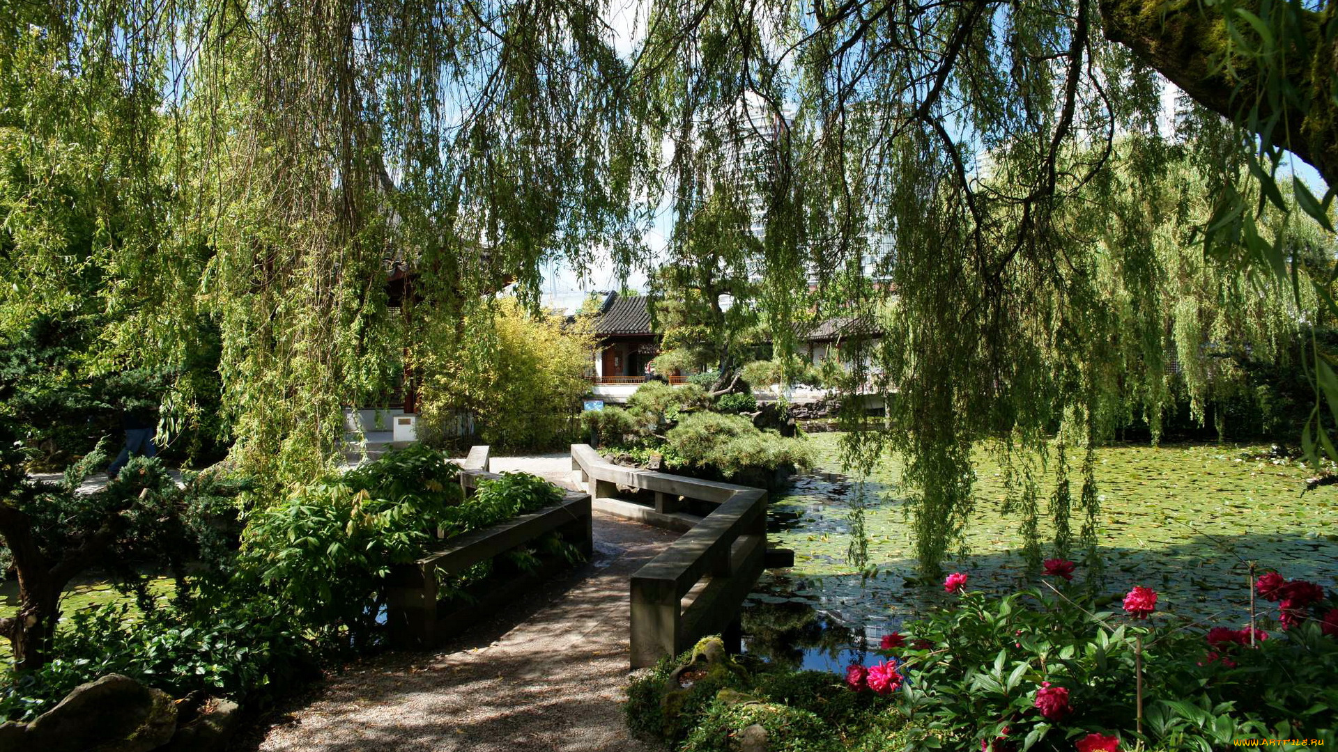 chinese, gardens, канада, vancouver, природа, парк, мостик, водоем, сад