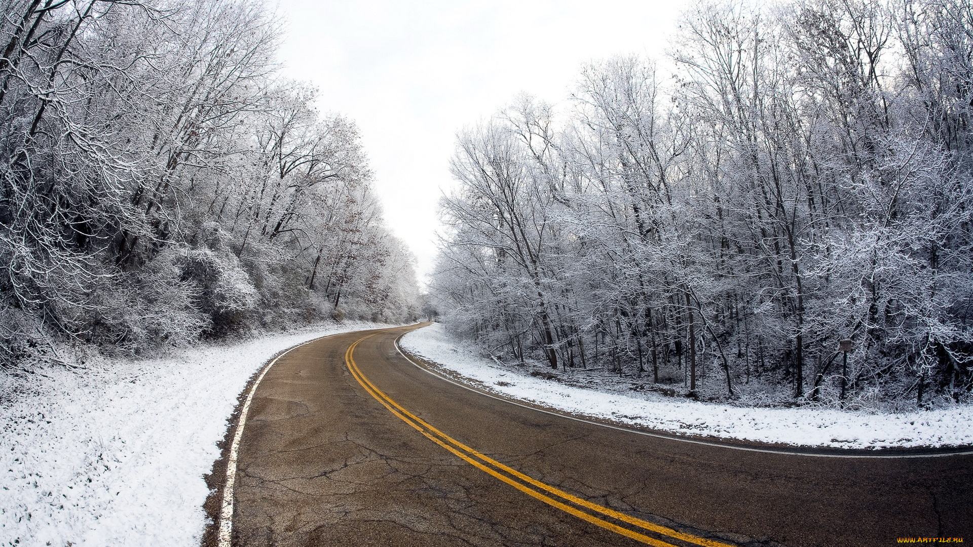природа, дороги, деревья, дорога, зима