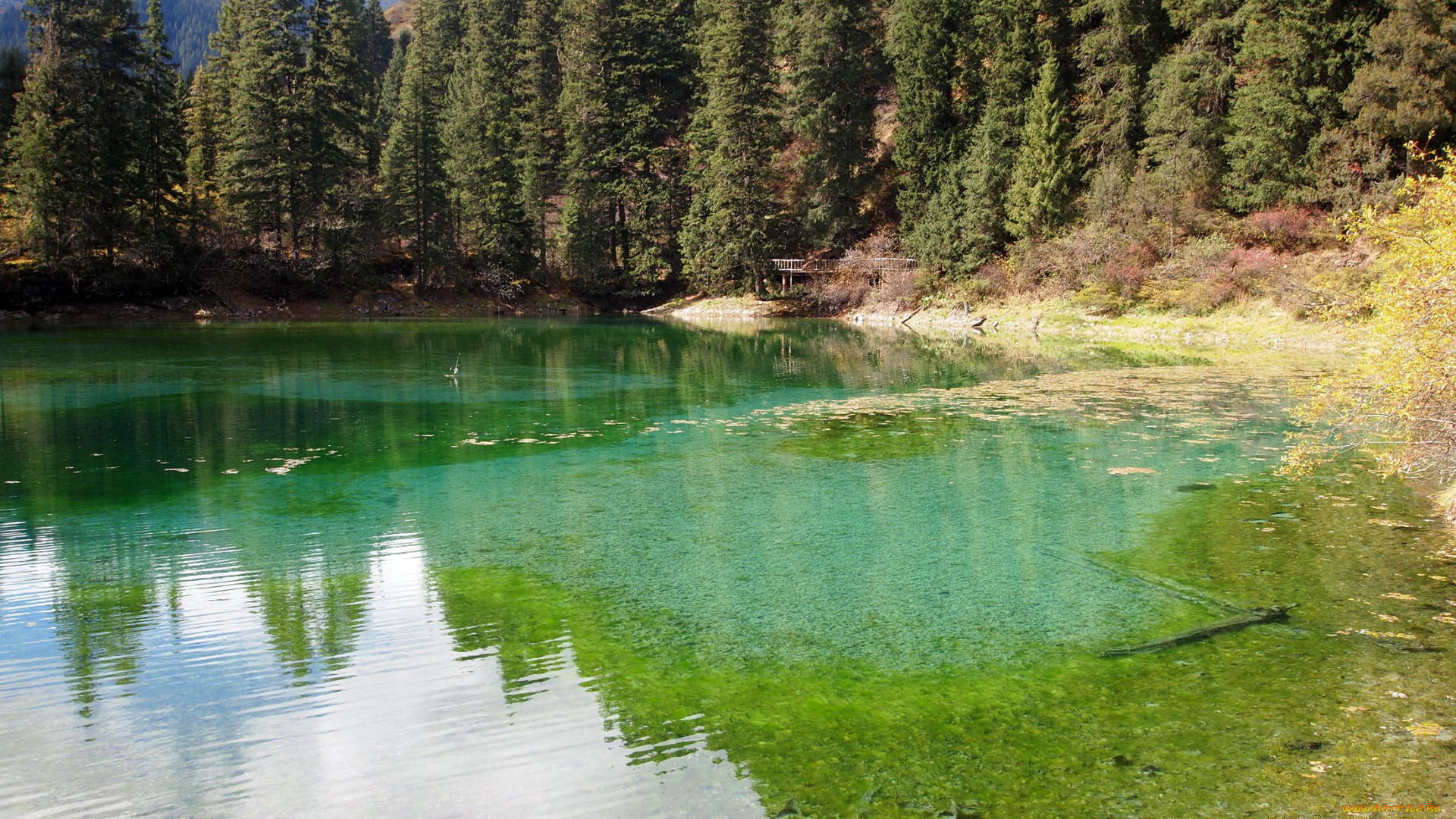 toudaohai, lake, китай, сычуань, природа, реки, озера, лес, озеро