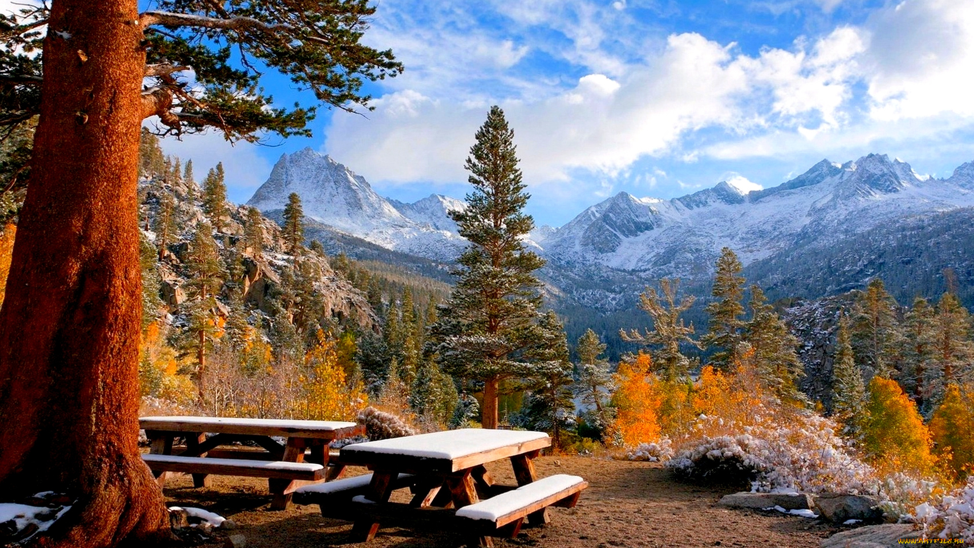 winter, picnic, природа, парк, скамейка, зима, дерево, площадка, горы