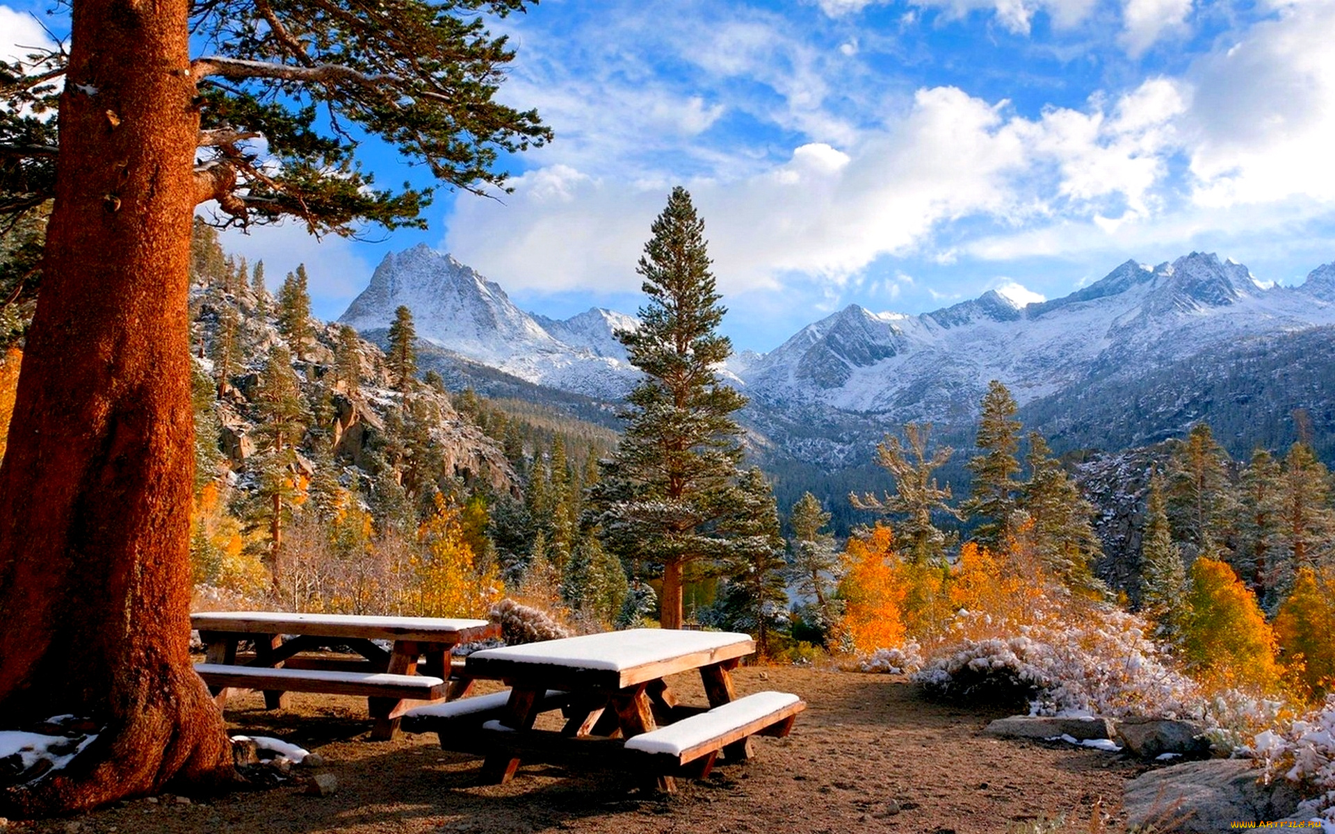 winter, picnic, природа, парк, скамейка, зима, дерево, площадка, горы