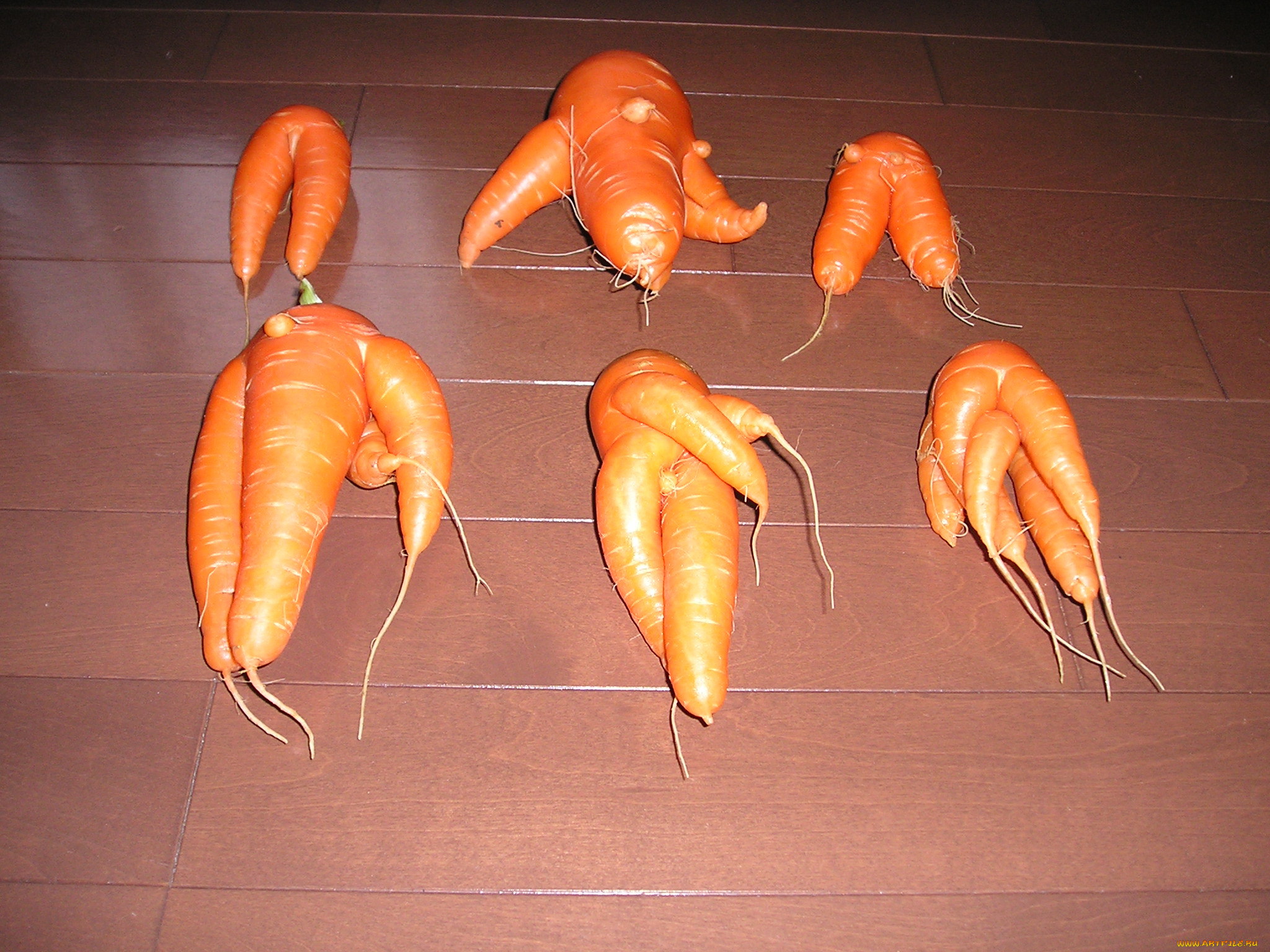 еда, морковь, стол