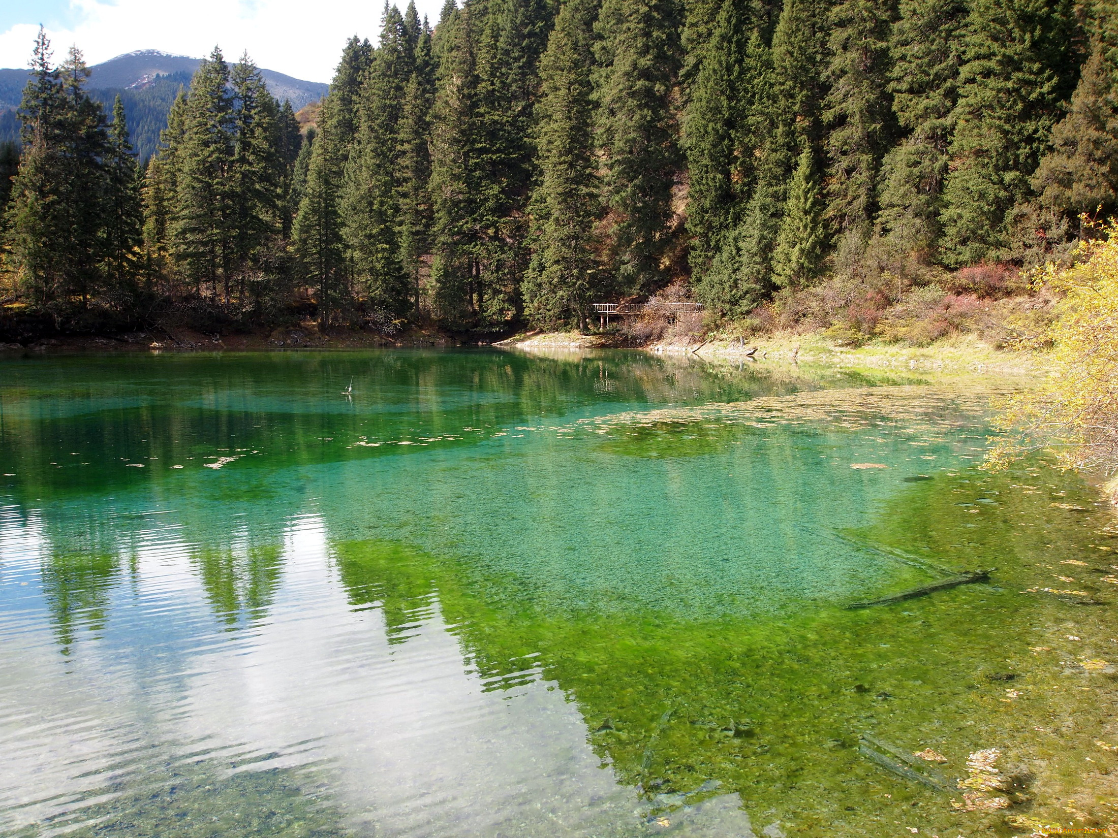 toudaohai, lake, китай, сычуань, природа, реки, озера, лес, озеро